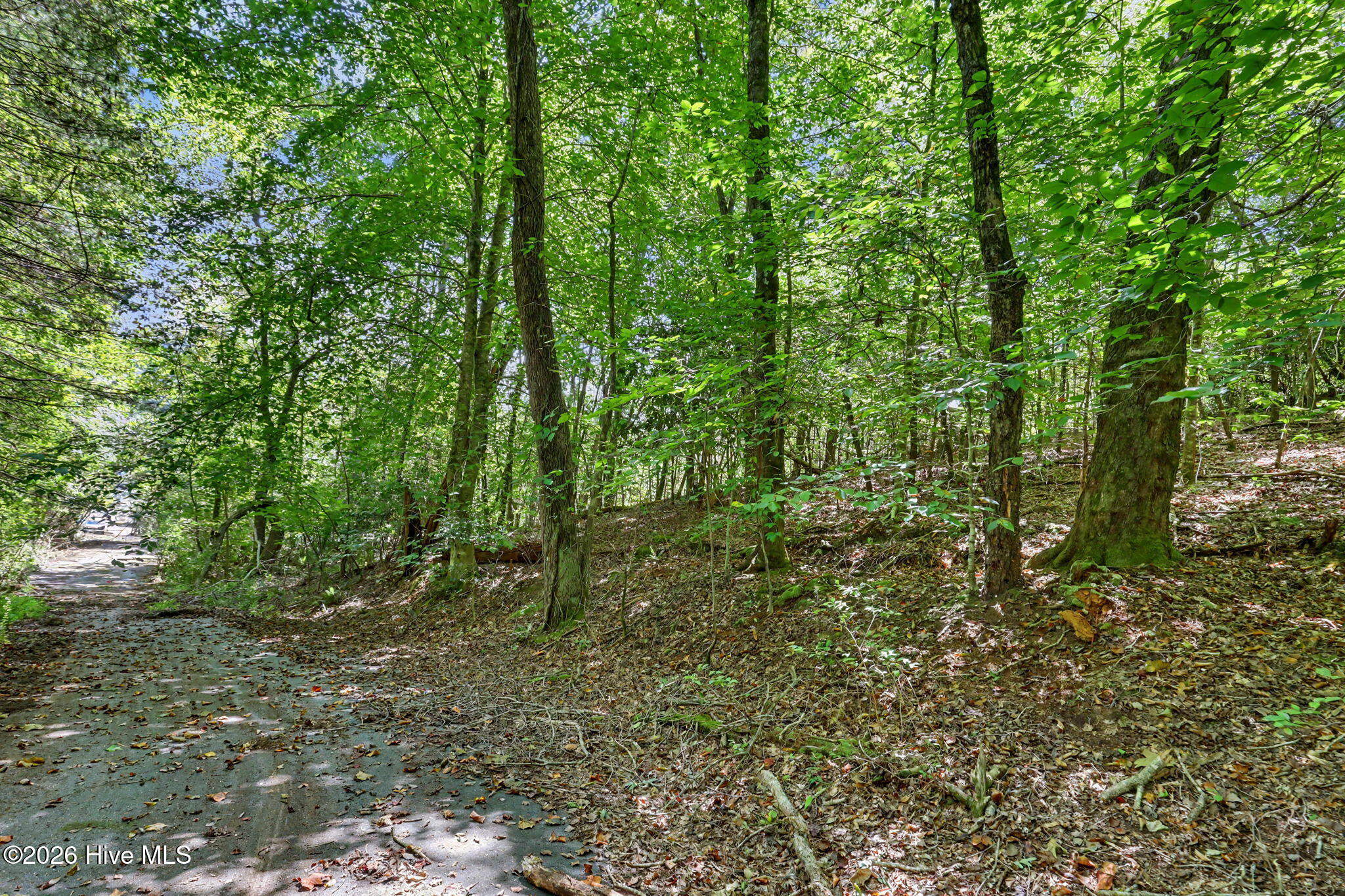 1271 Andrews Road Property Photo 20