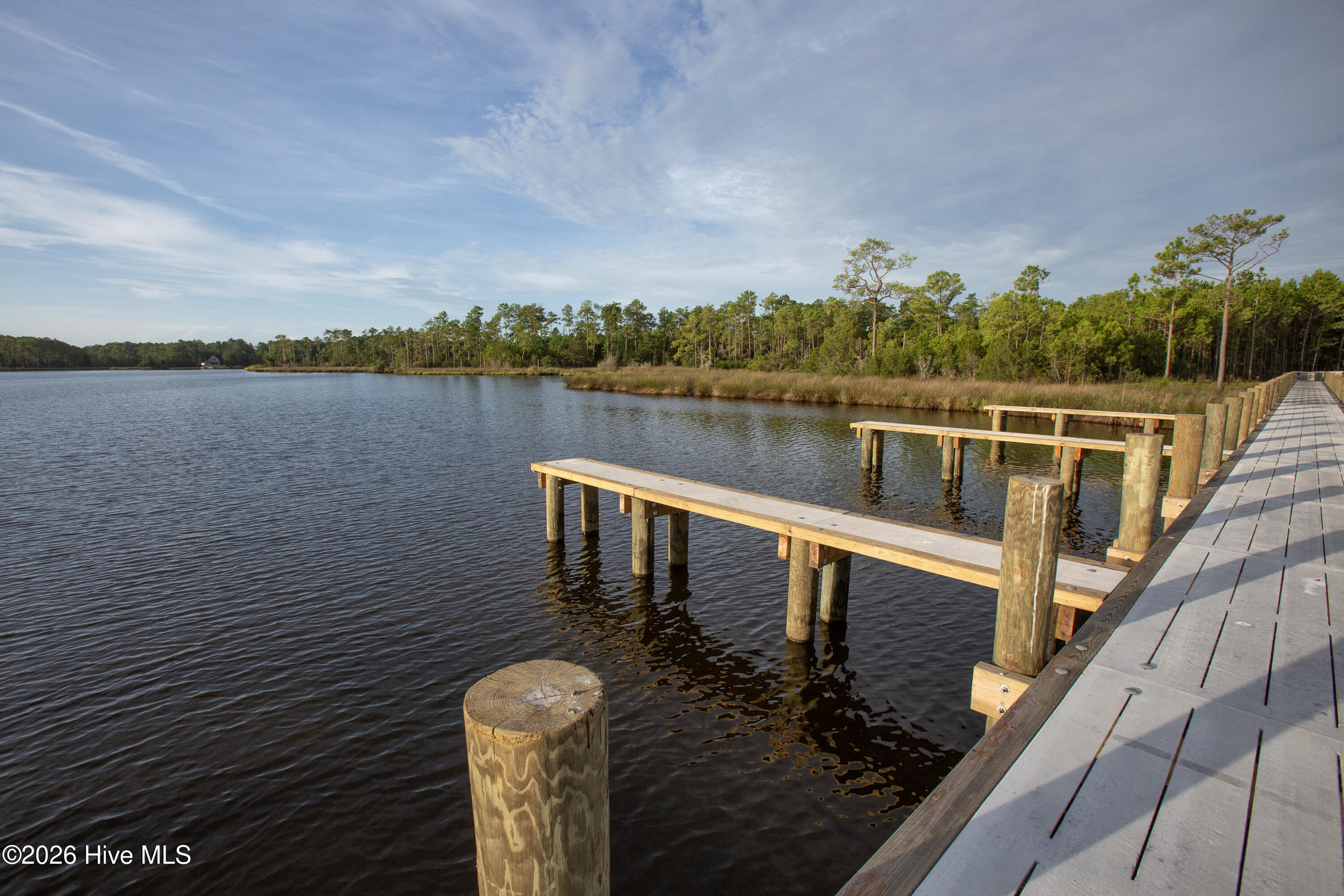 662 Vandemere Creek Drive Property Photo 22