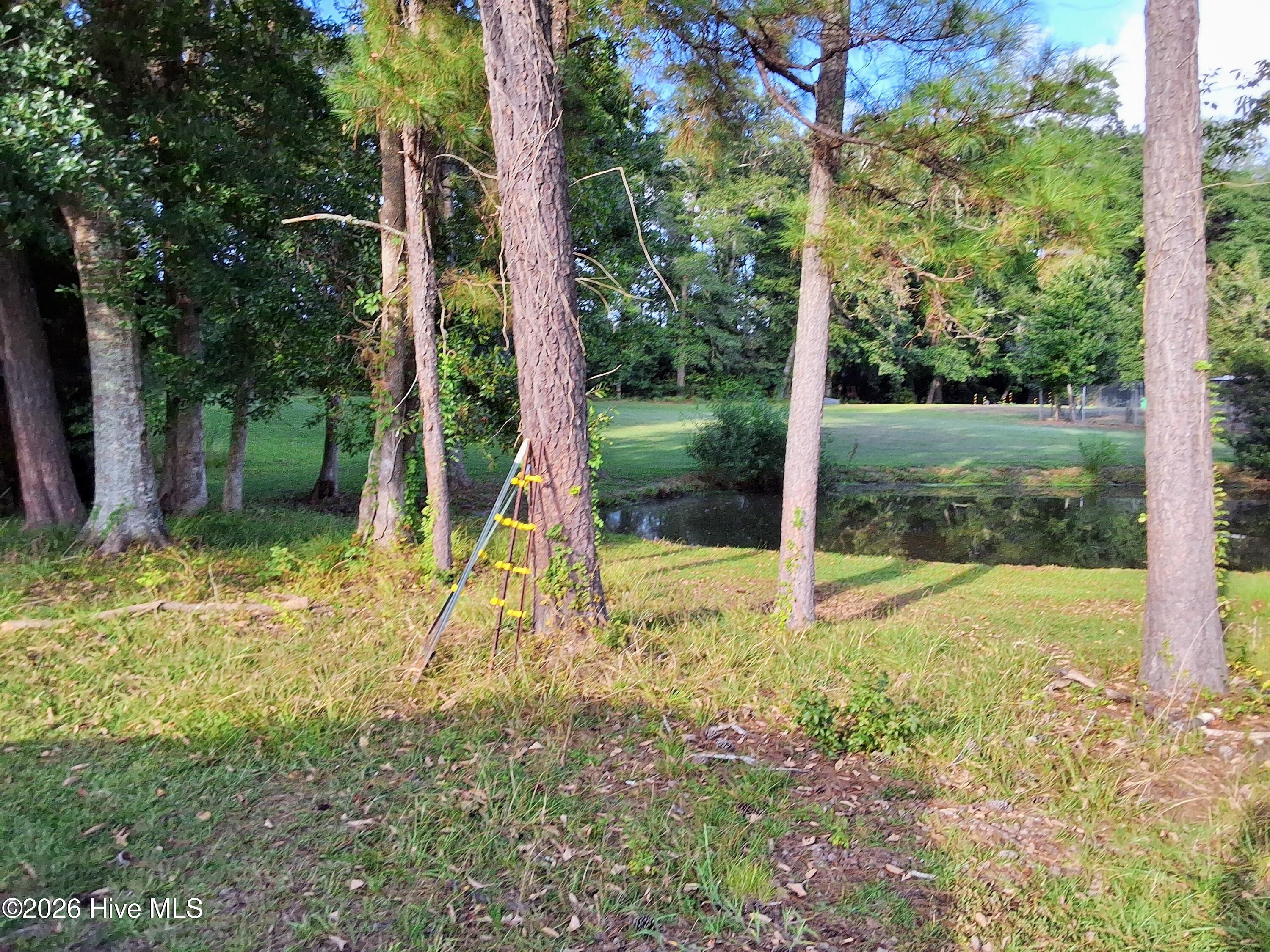 1836 Pine Level Church Road Property Photo 54
