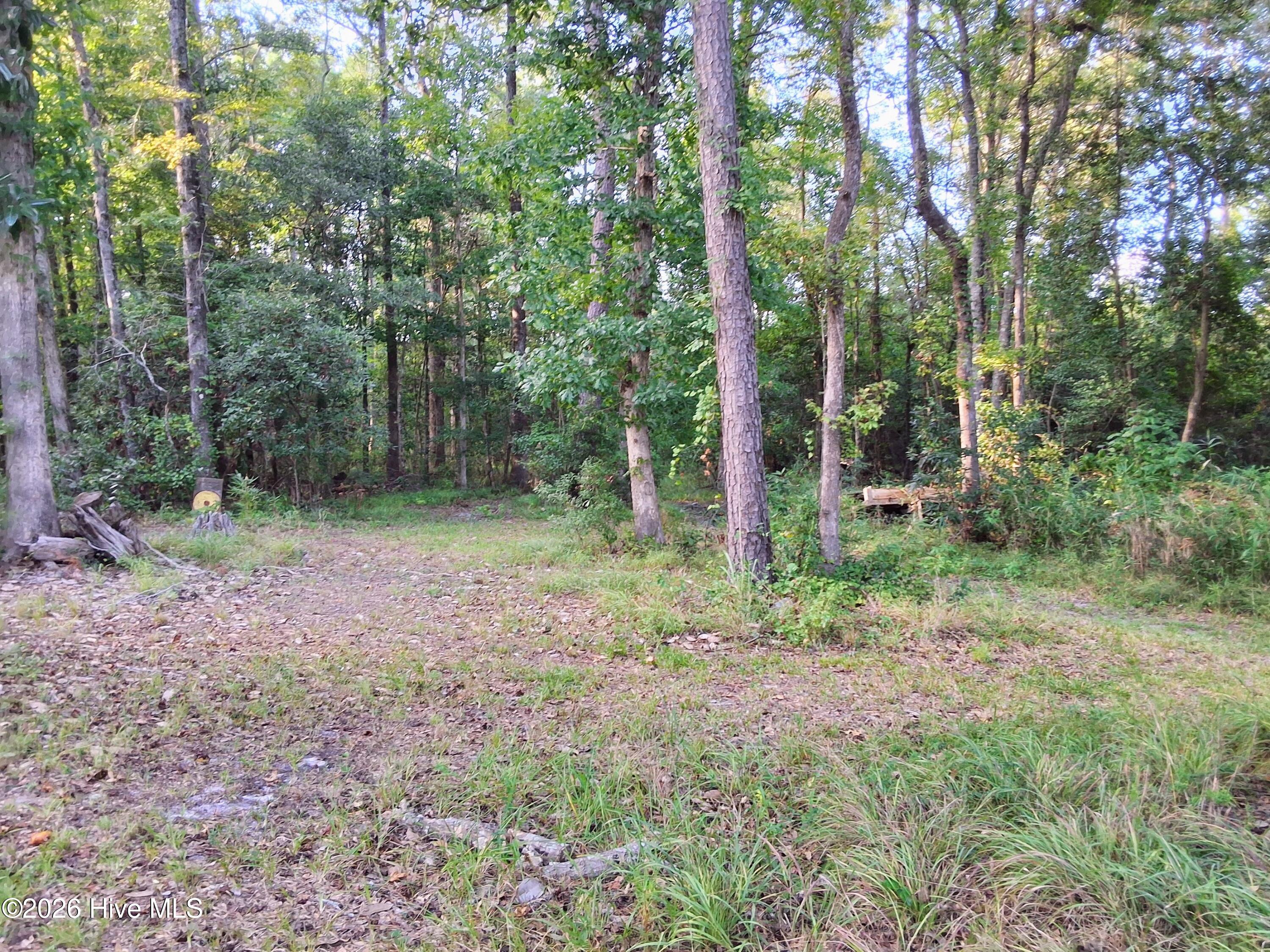 1836 Pine Level Church Road Property Photo 66