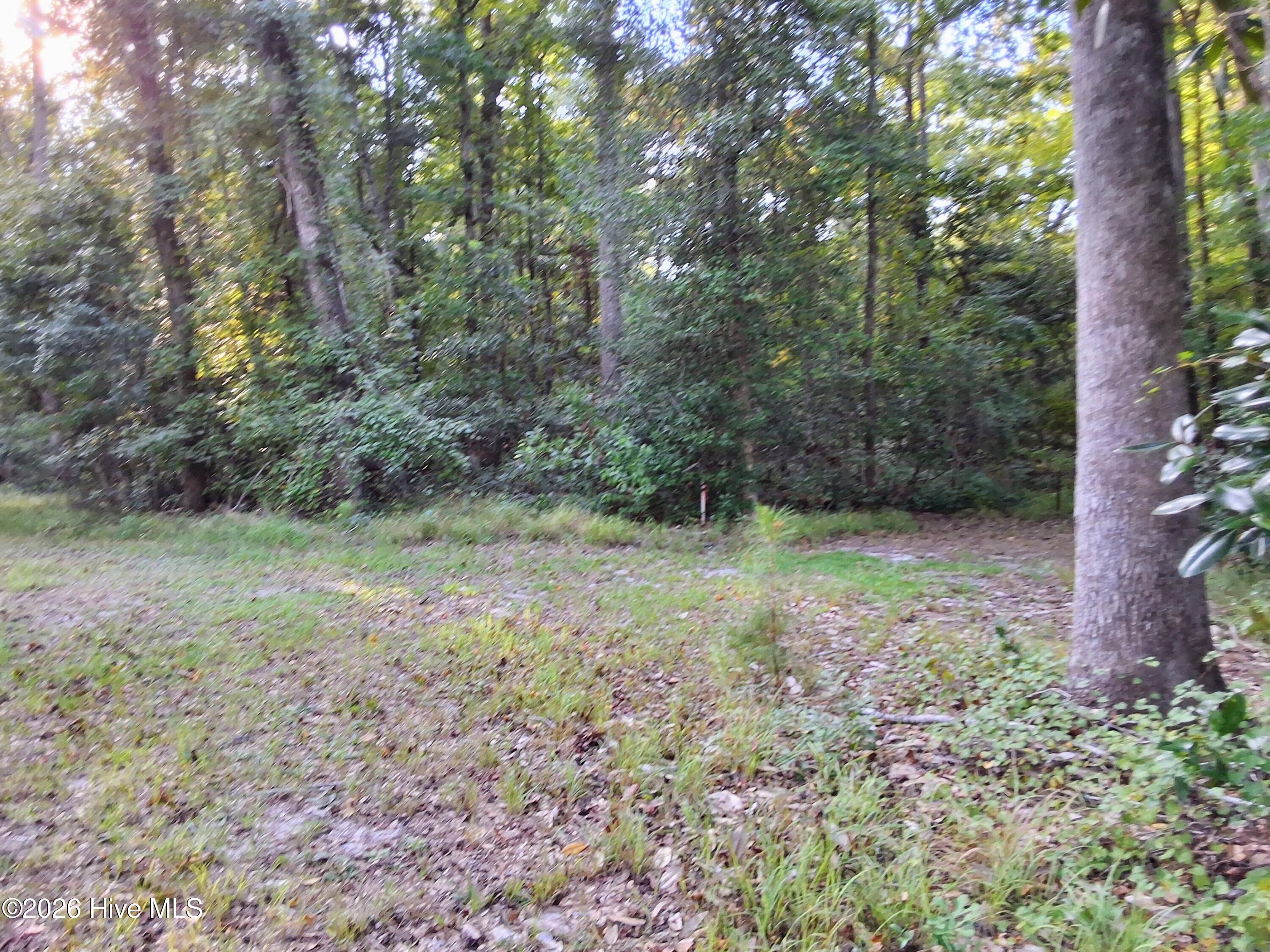 1836 Pine Level Church Road Property Photo 67