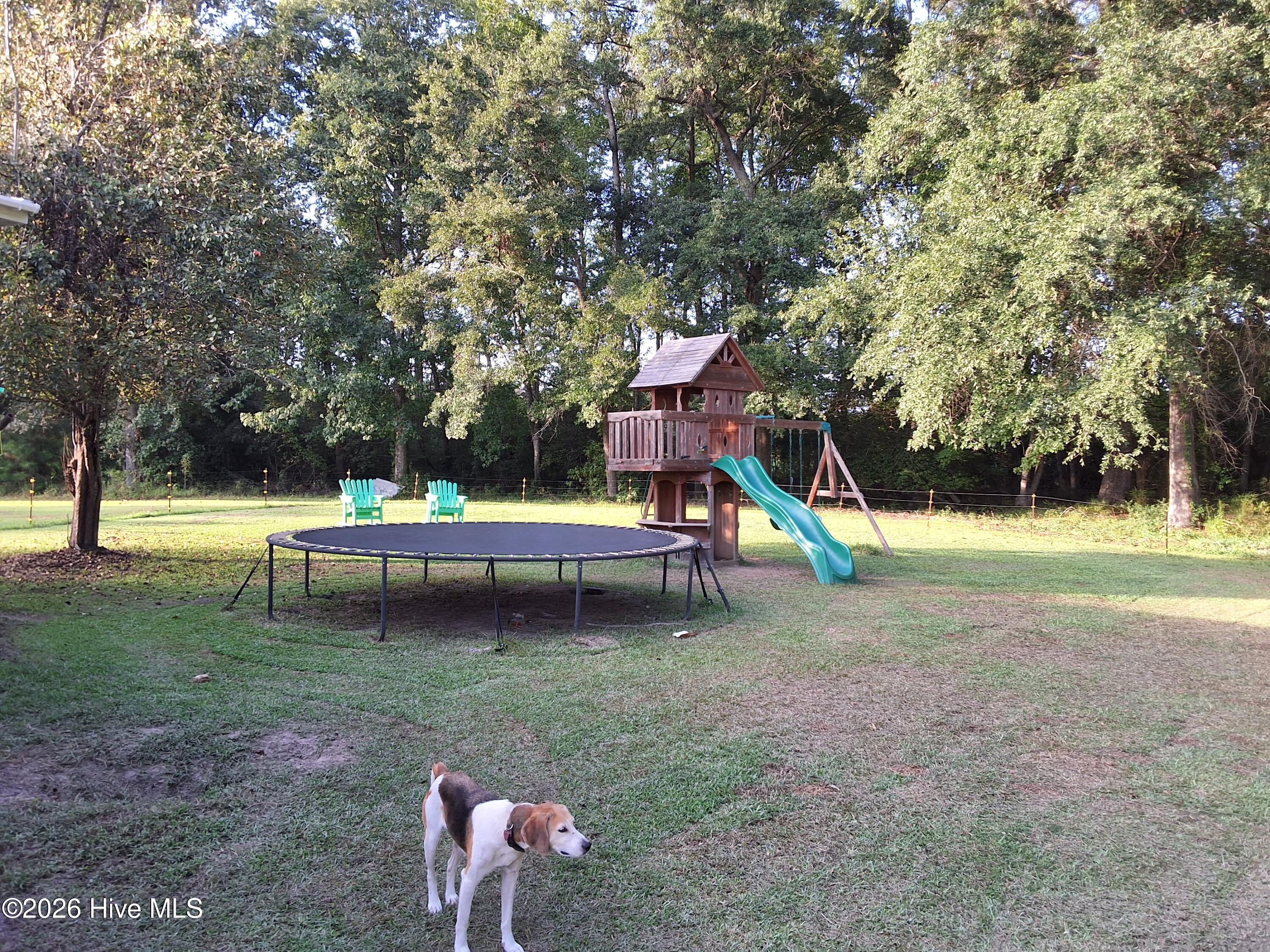 1836 Pine Level Church Road Property Photo 71