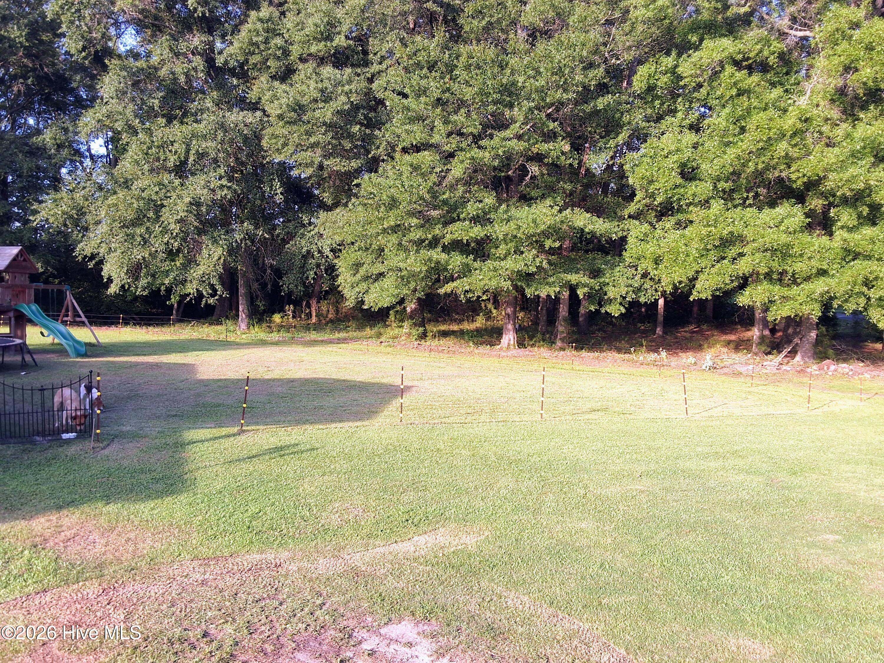1836 Pine Level Church Road Property Photo 84