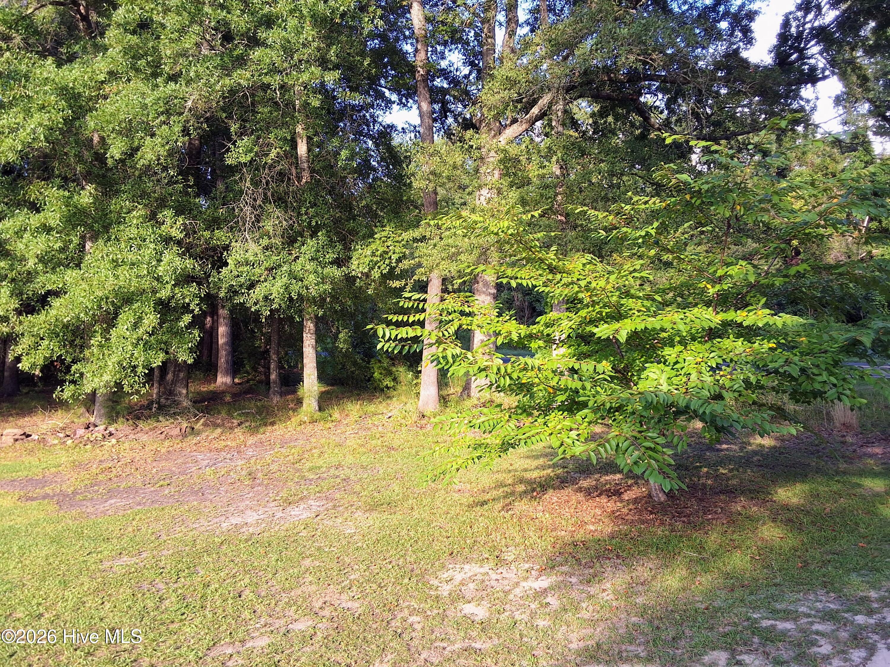 1836 Pine Level Church Road Property Photo 85