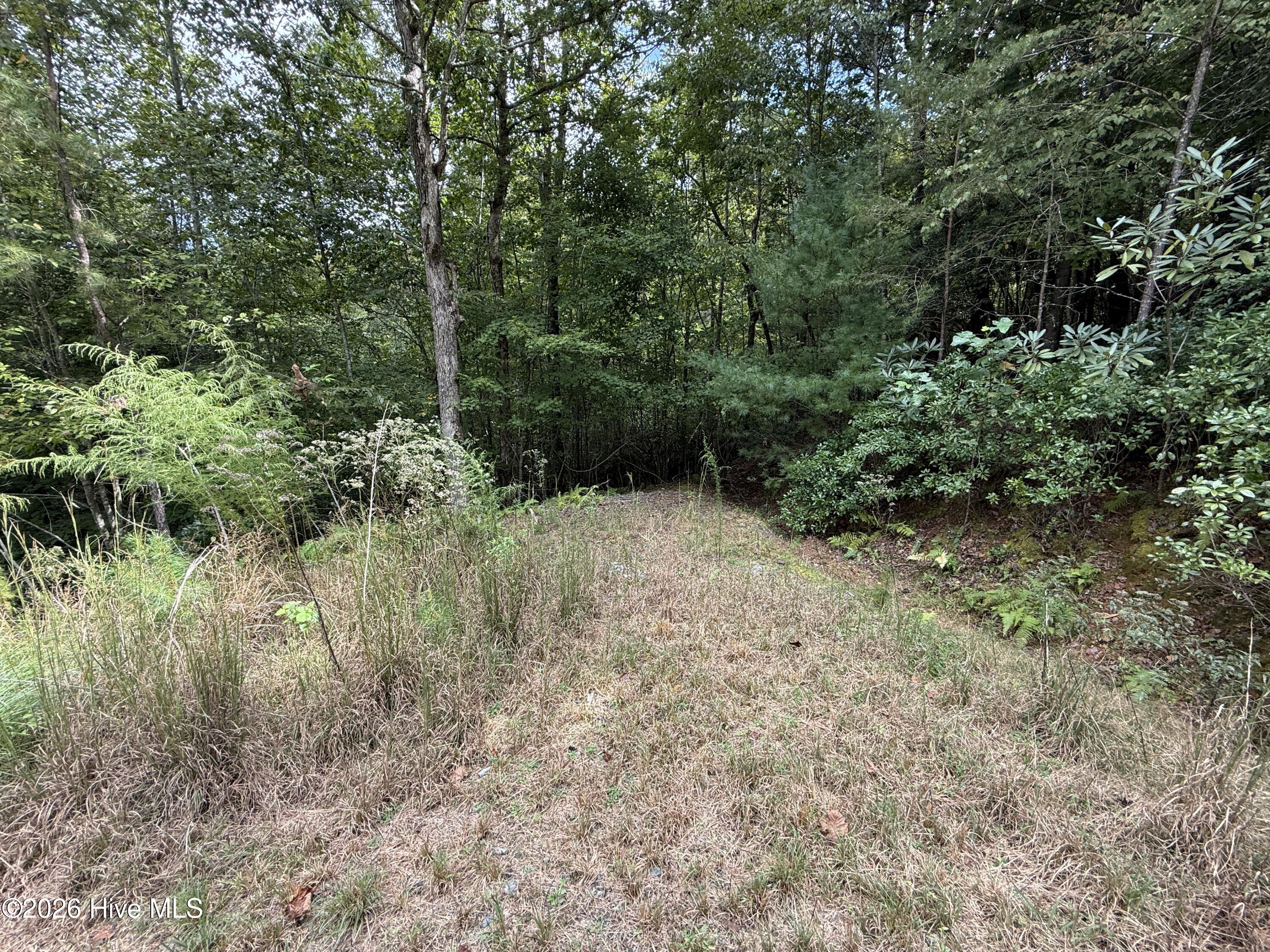 190 Leisey Lane Property Photo 2