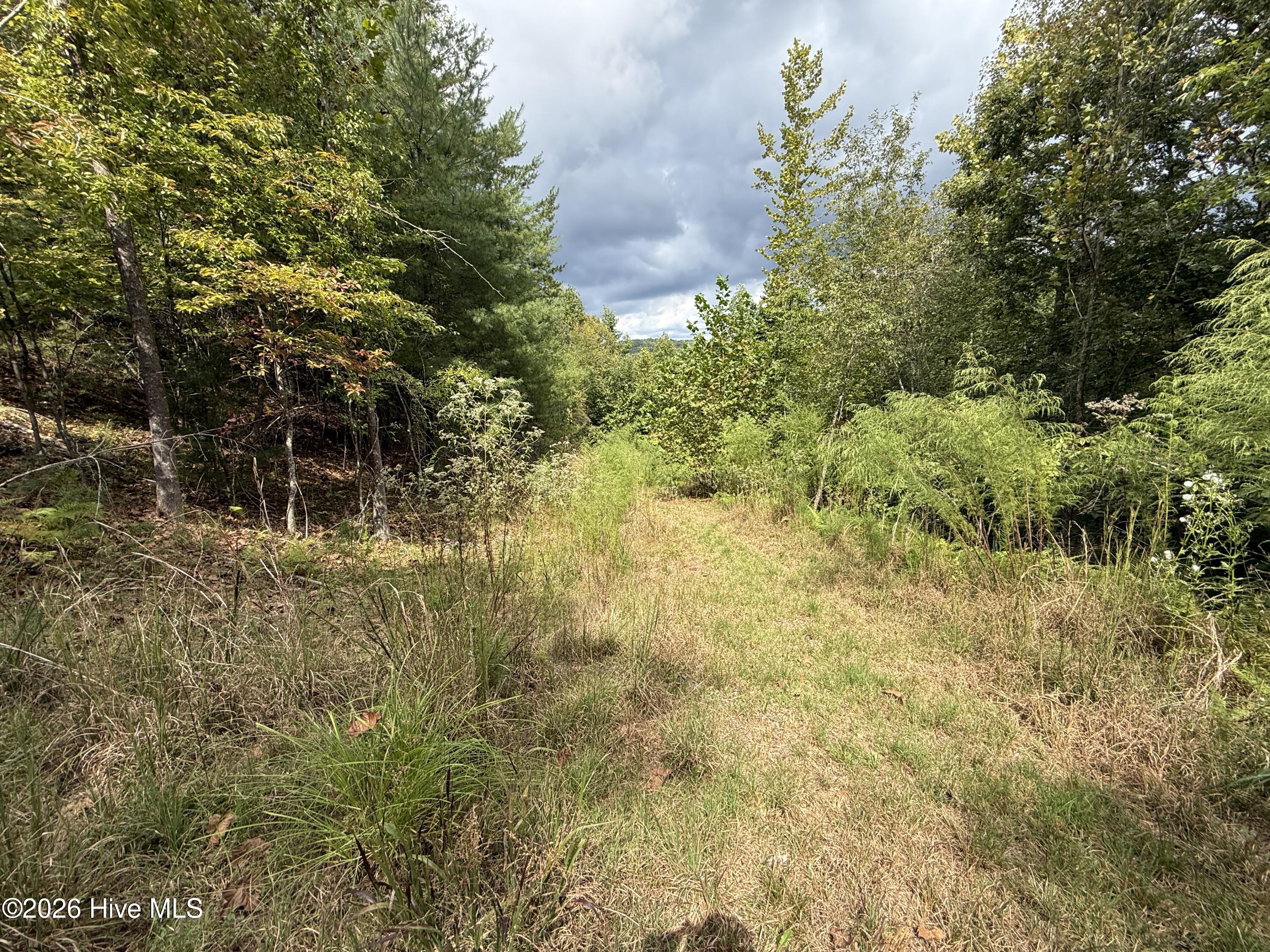 190 Leisey Lane Property Photo 3