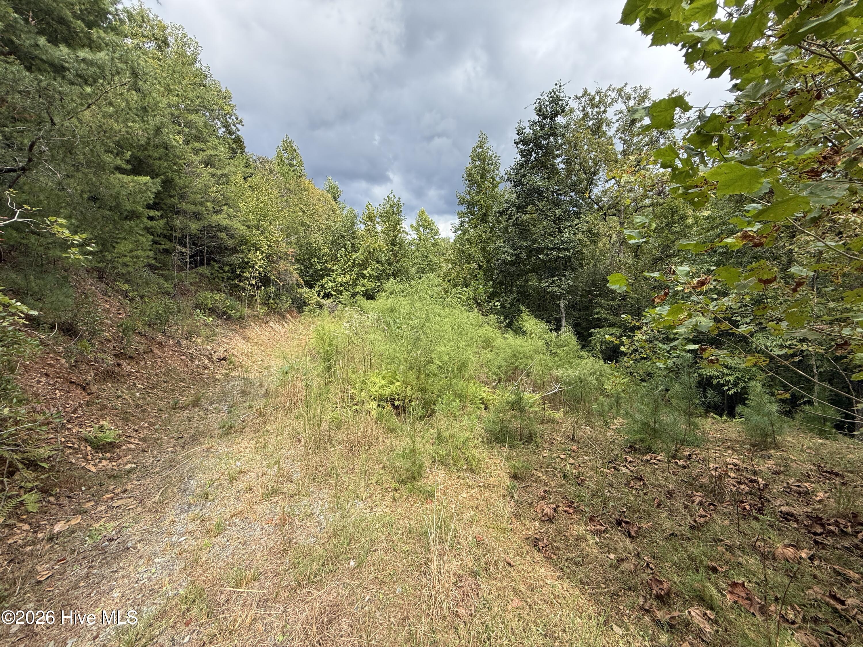 190 Leisey Lane Property Photo 4