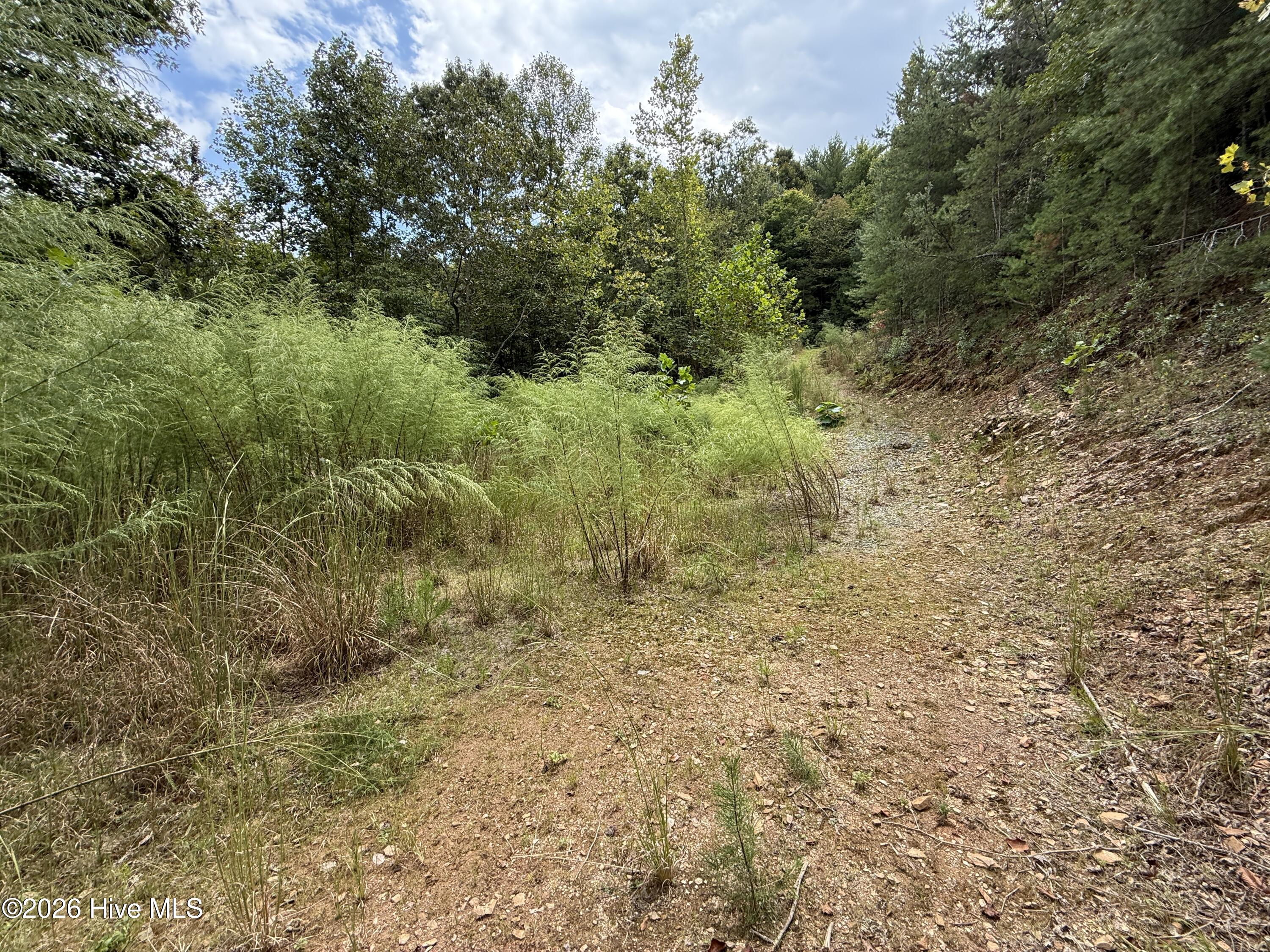 190 Leisey Lane Property Photo 6