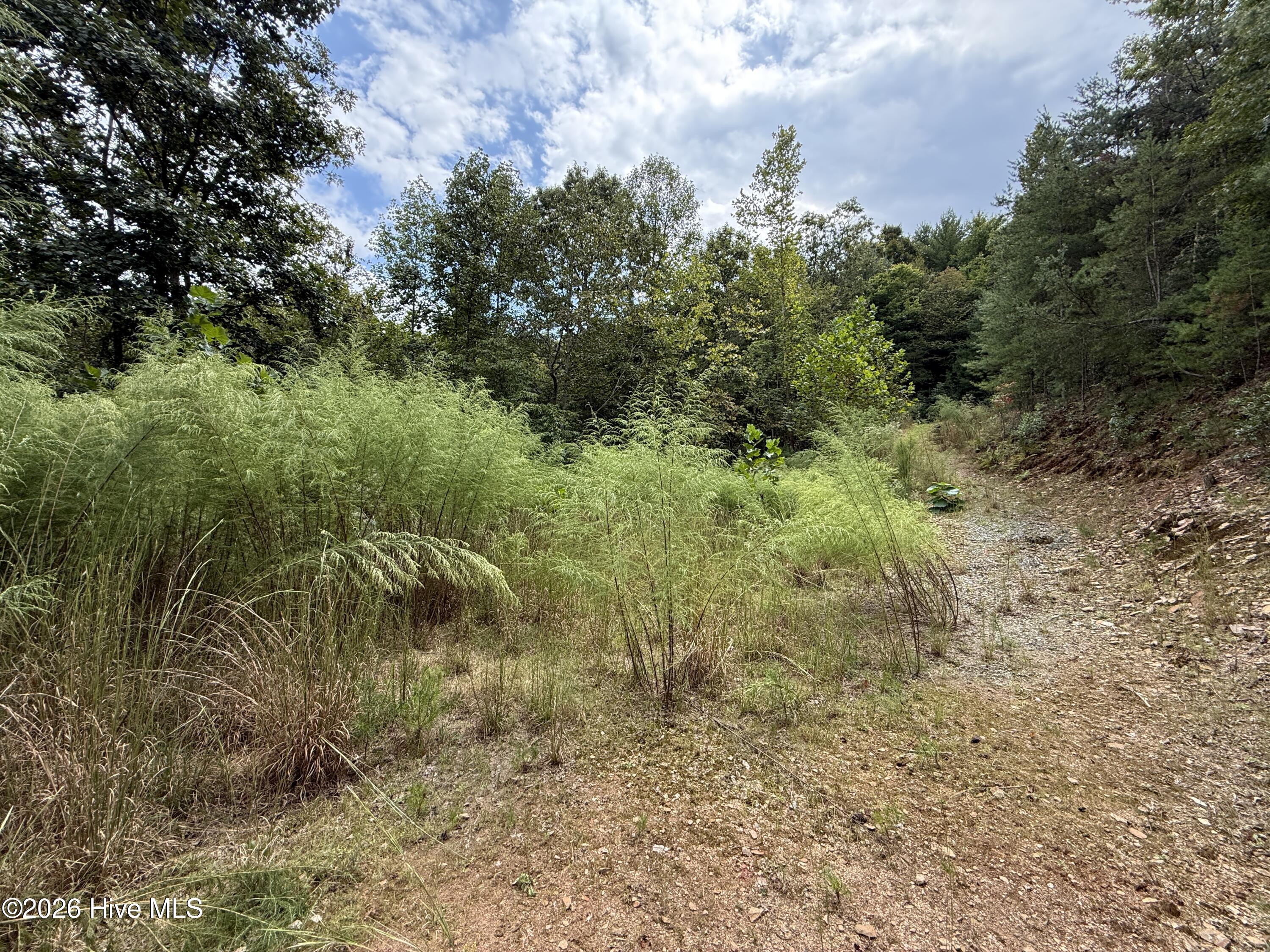 190 Leisey Lane Property Photo 7