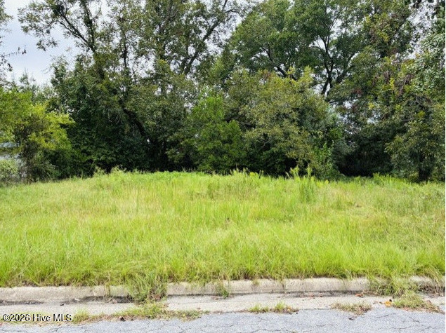1681 Hester Street Property Photo 1