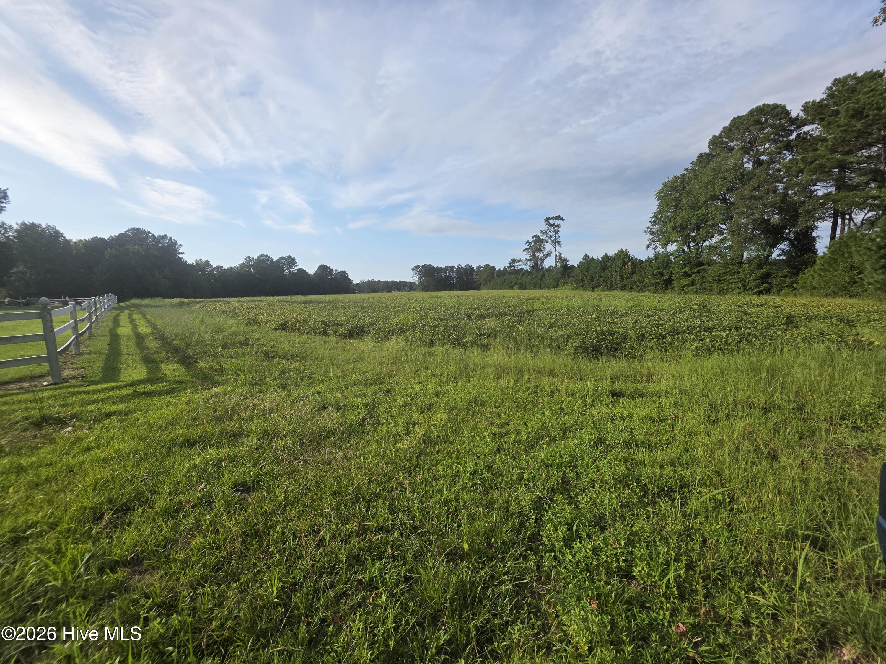 927 Clarendon Chadbourn Road Property Photo 2