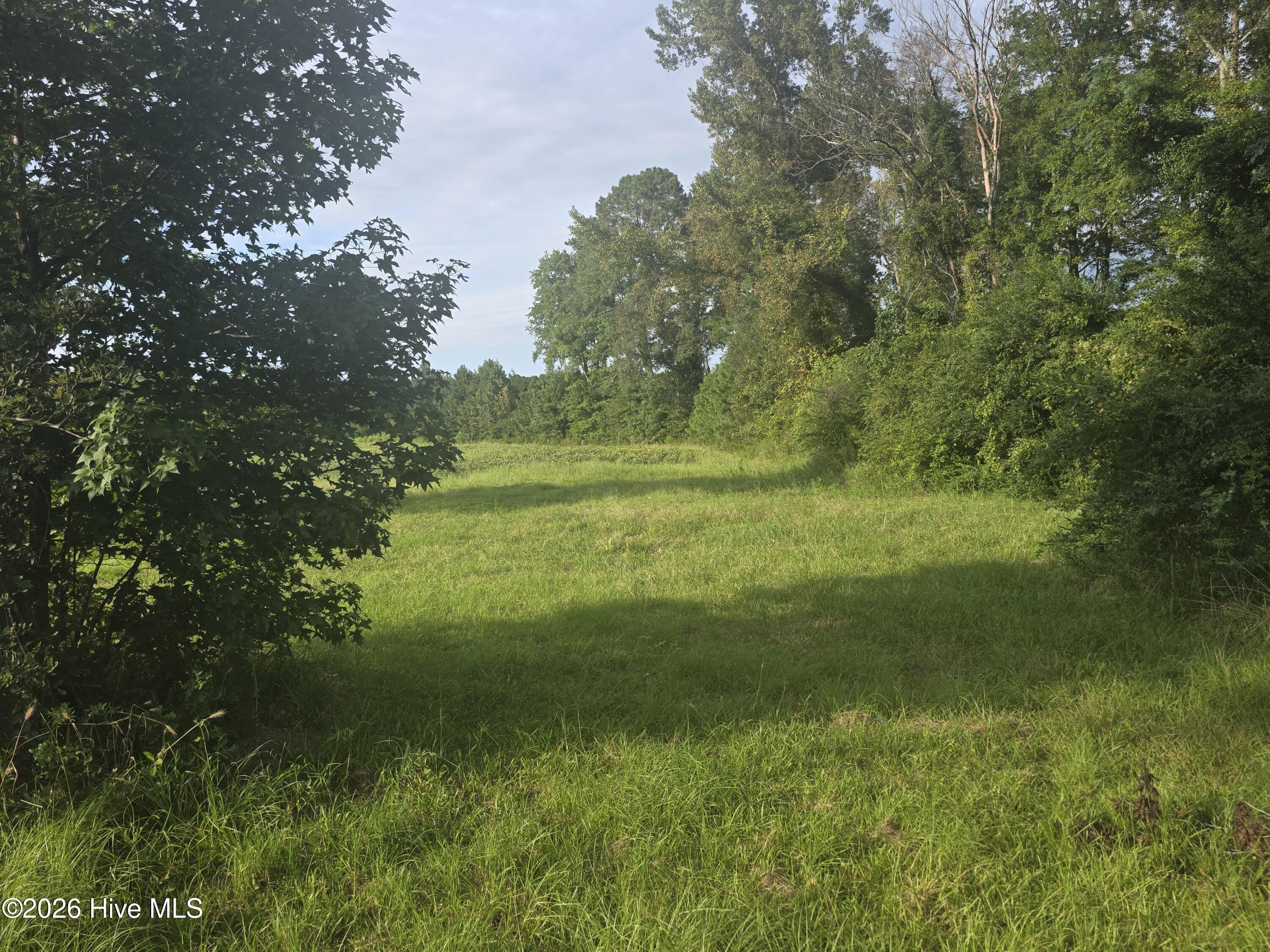 927 Clarendon Chadbourn Road Property Photo 3