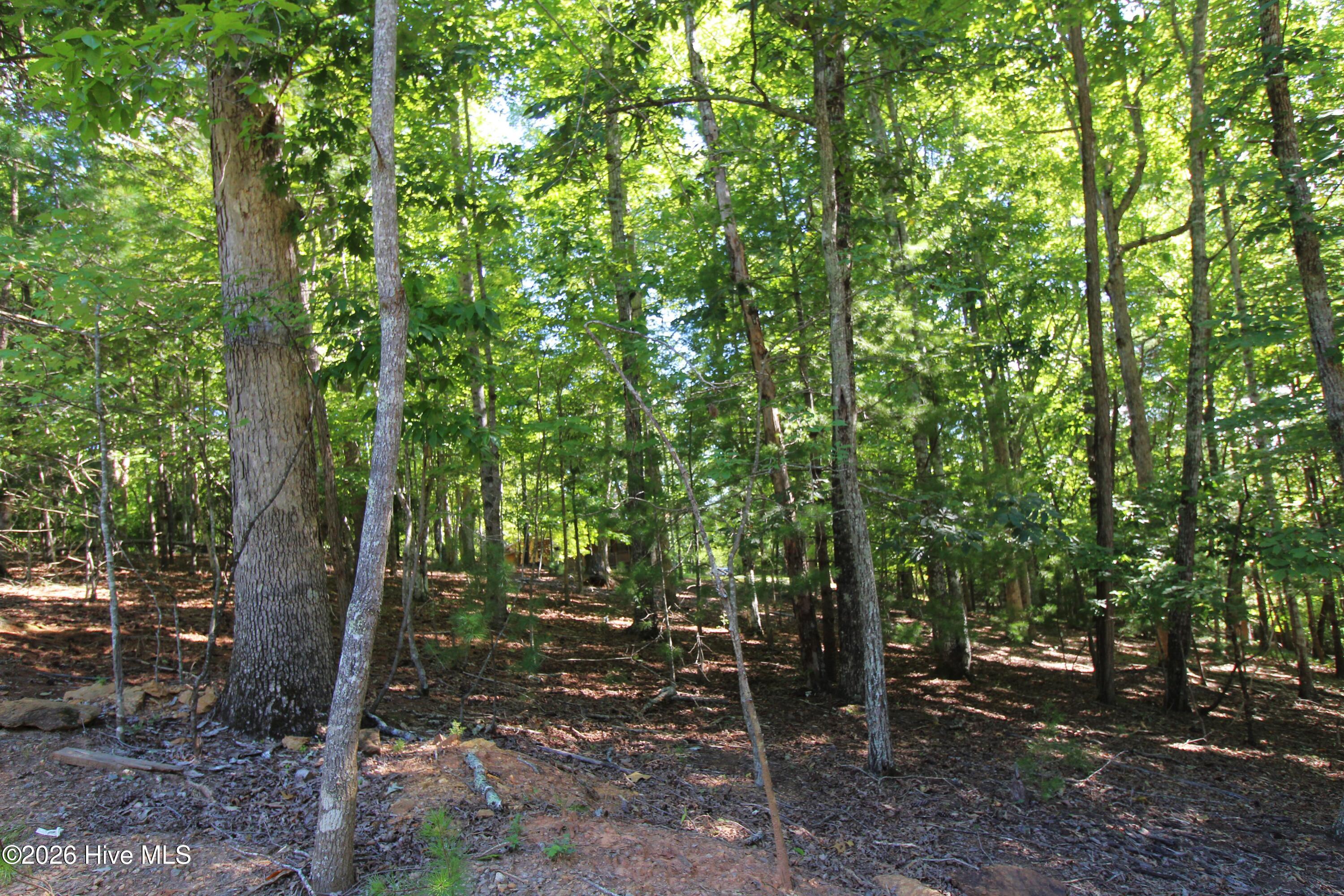 46 Arthur Ridge Property Photo 8