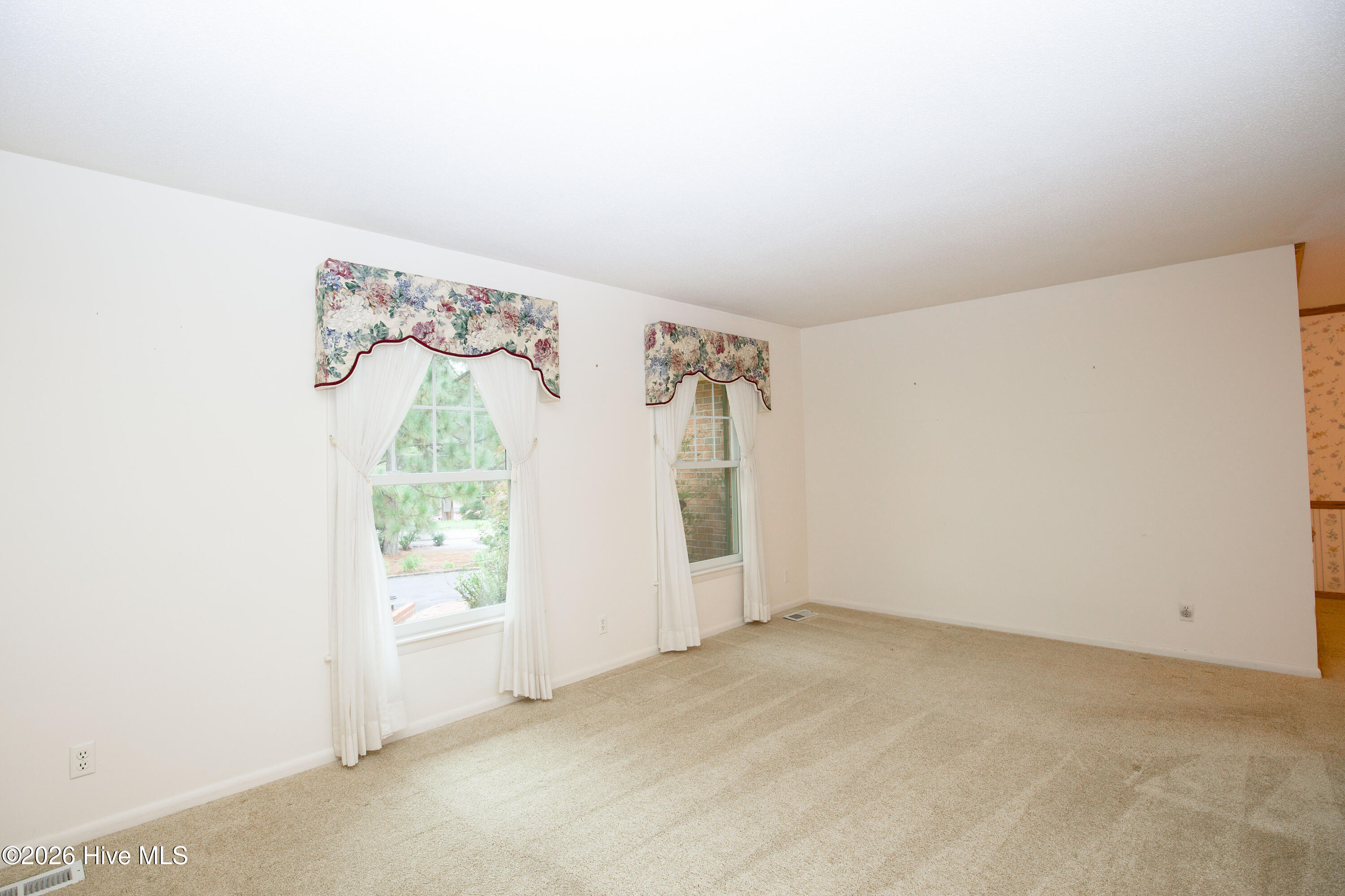 119 Pine Lake Drive Property Photo 22