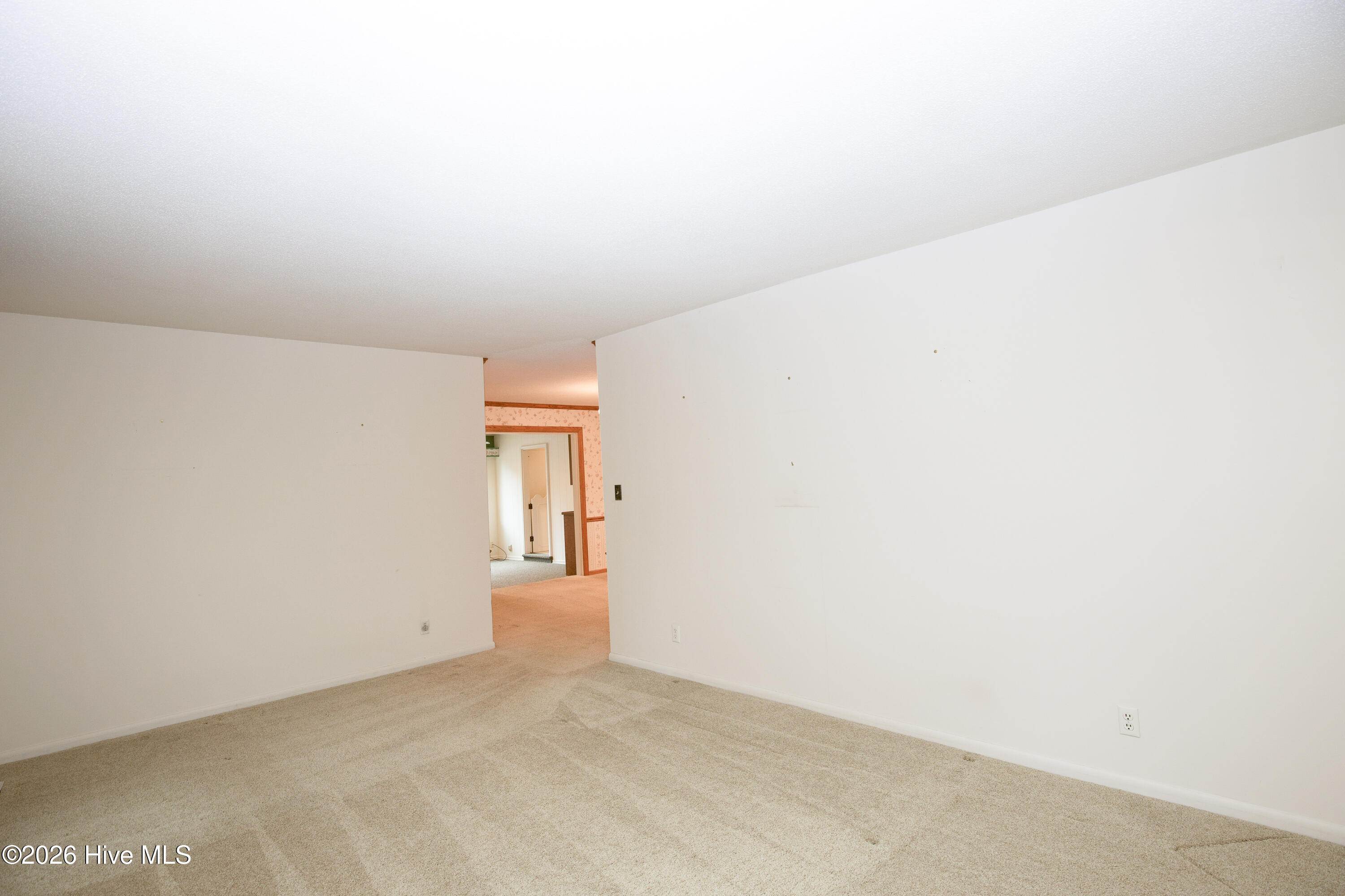 119 Pine Lake Drive Property Photo 25