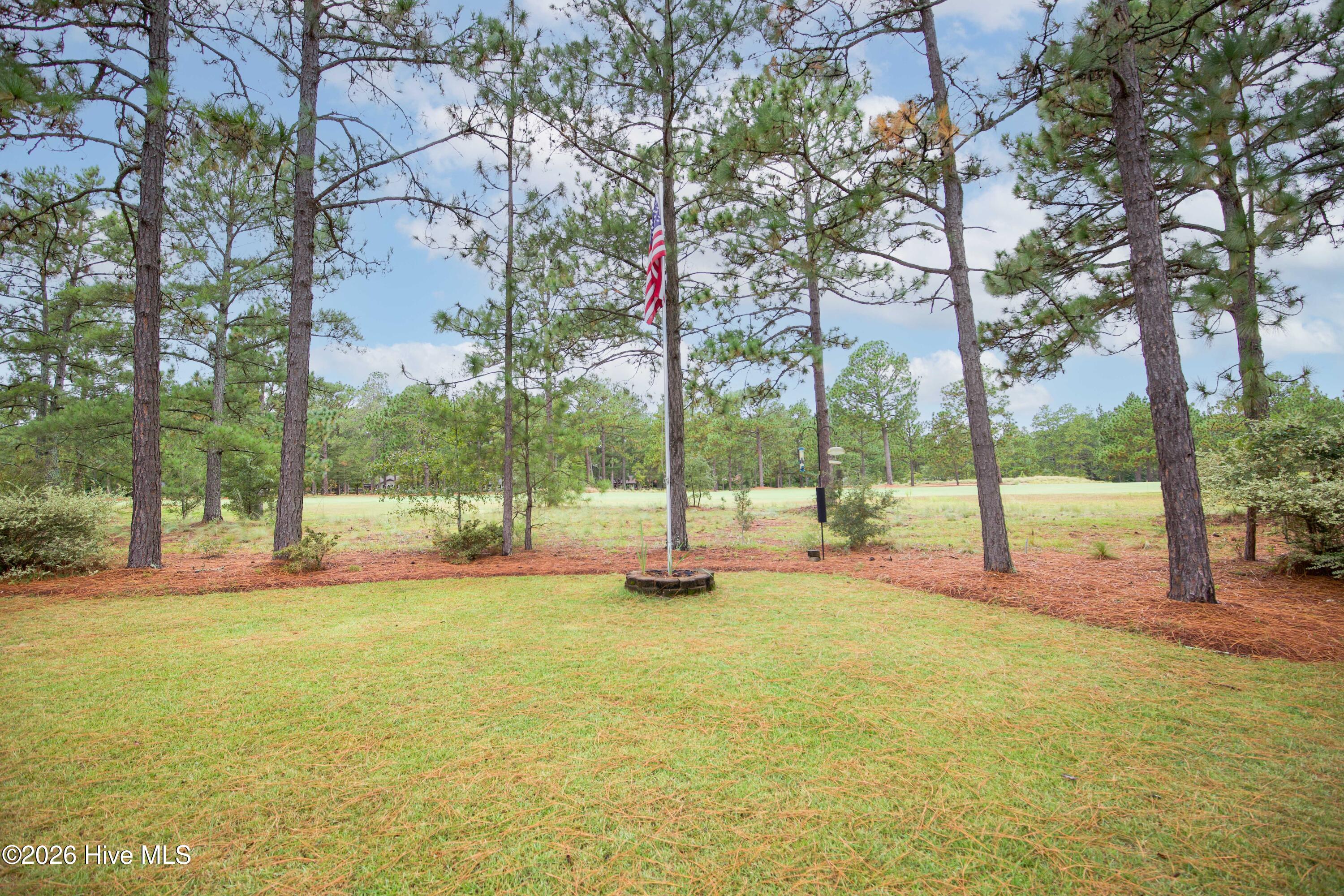 119 Pine Lake Drive Property Photo 49
