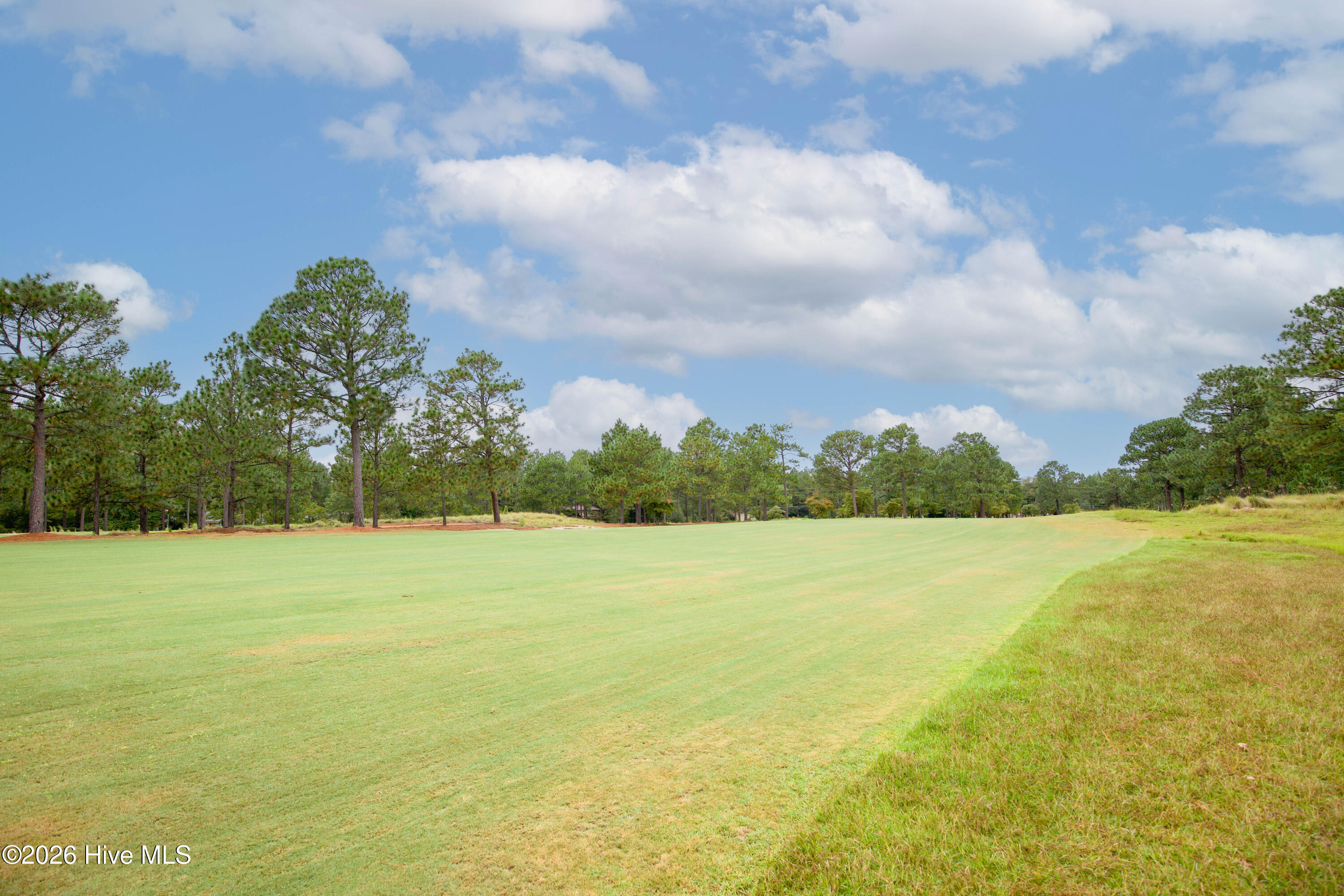 119 Pine Lake Drive Property Photo 50