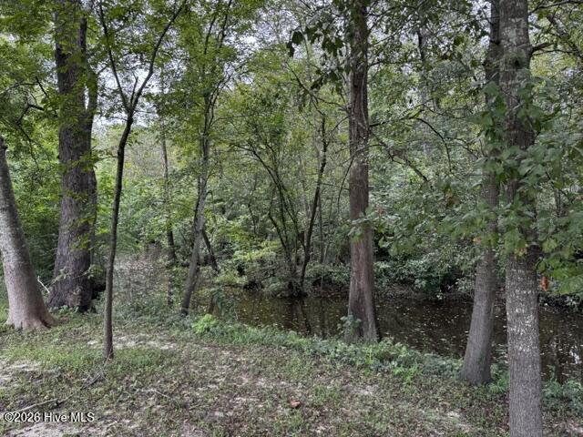 113 Tom Avenue Property Photo 27