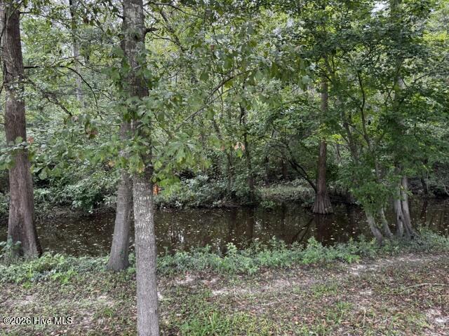 113 Tom Avenue Property Photo 28