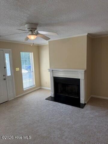 2108 Turtle Court Property Photo 3
