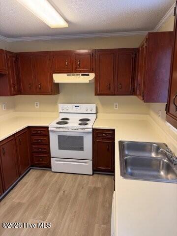 2108 Turtle Court Property Photo 8