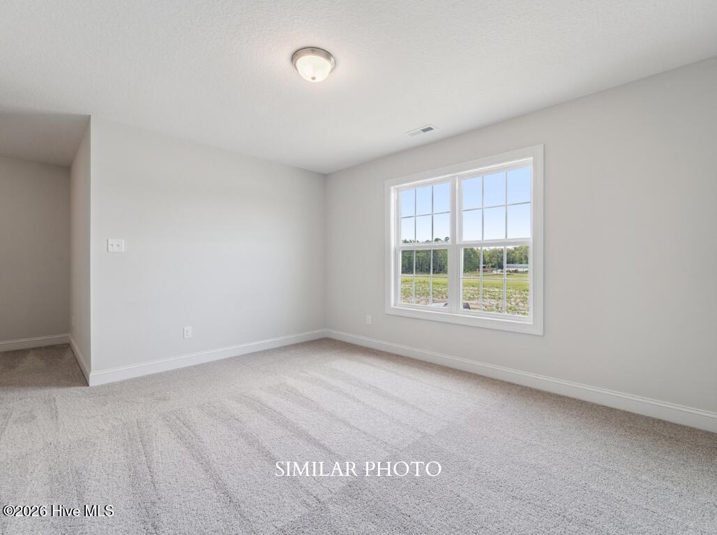 221 Big August Way Property Photo 22