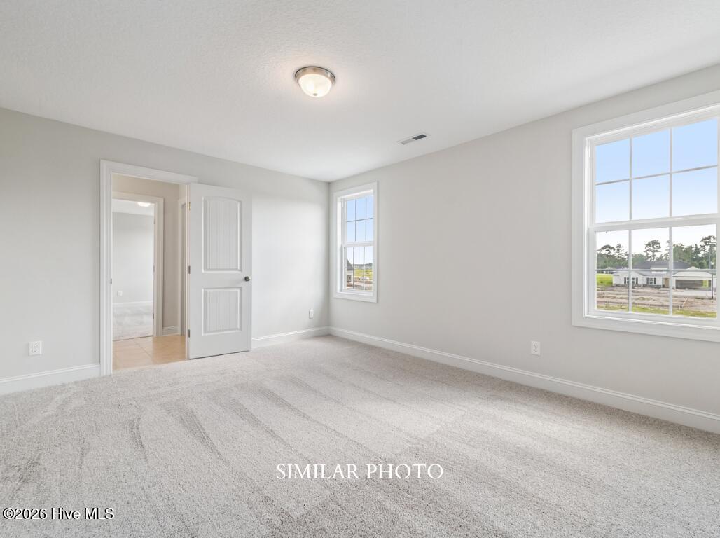 221 Big August Way Property Photo 29