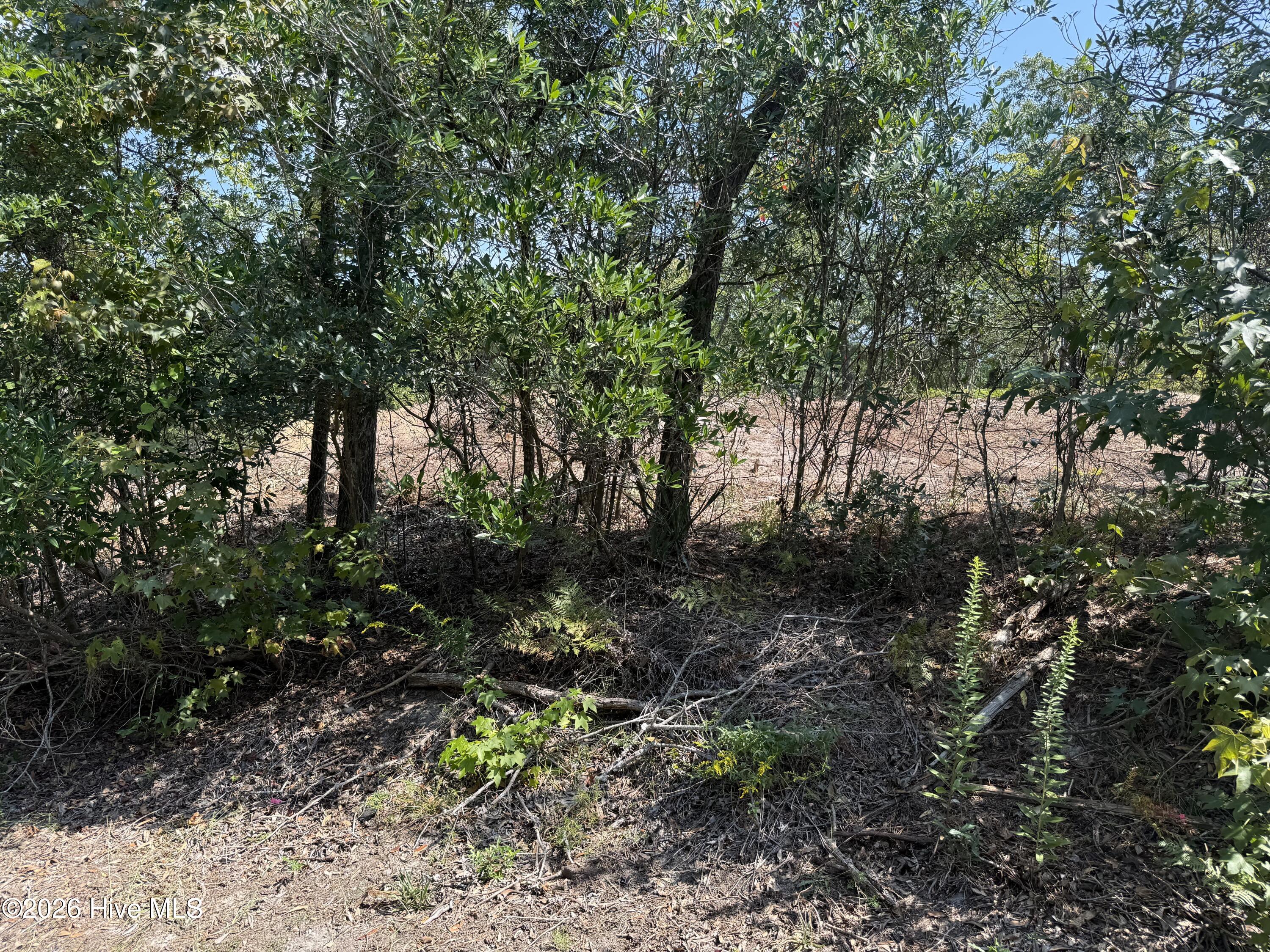 164 29 Shingle Landing Lane Property Photo 1