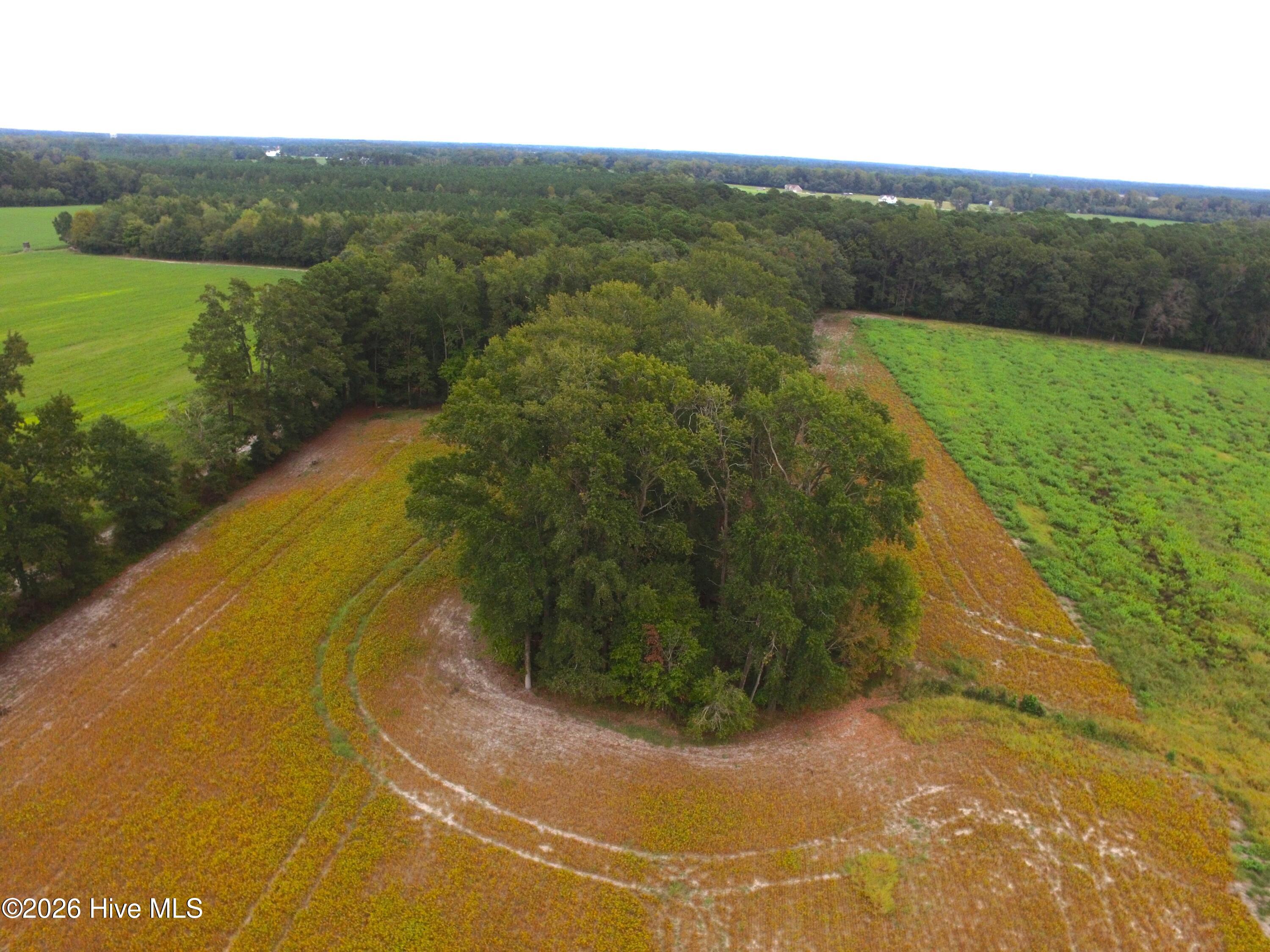 0 Rountree Road Property Photo 1