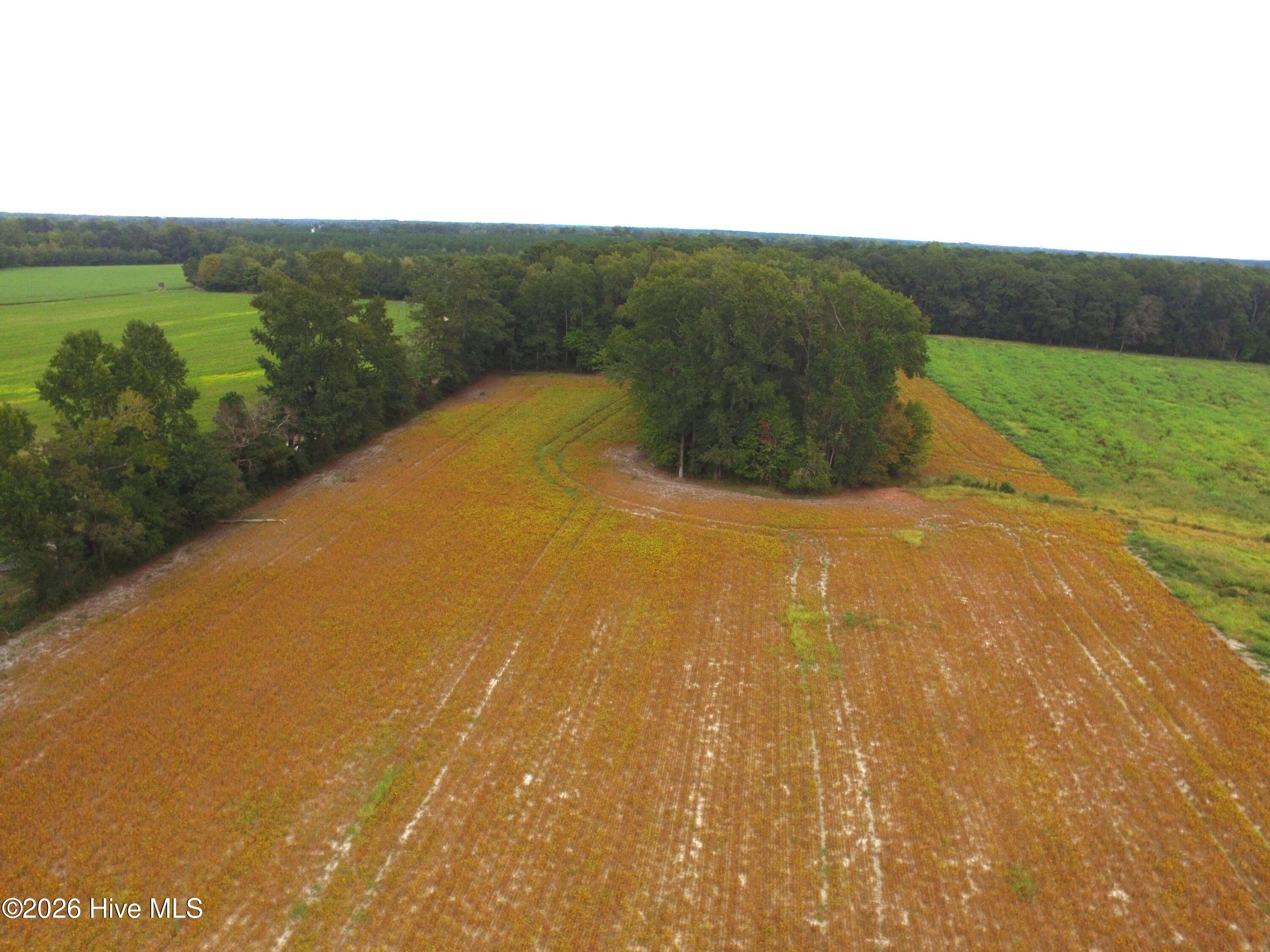 0 Rountree Road Property Photo 2