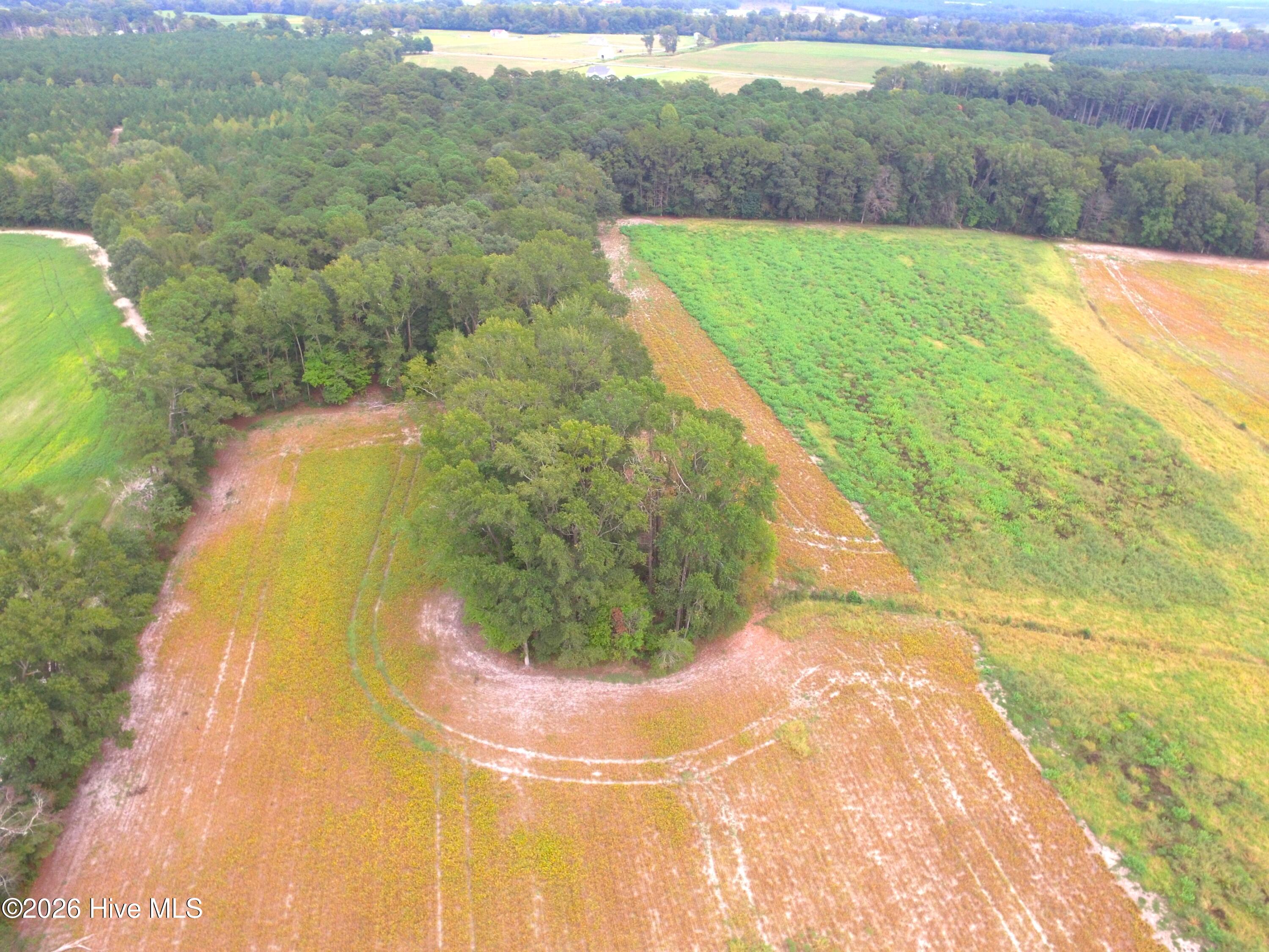 0 Rountree Road Property Photo 3