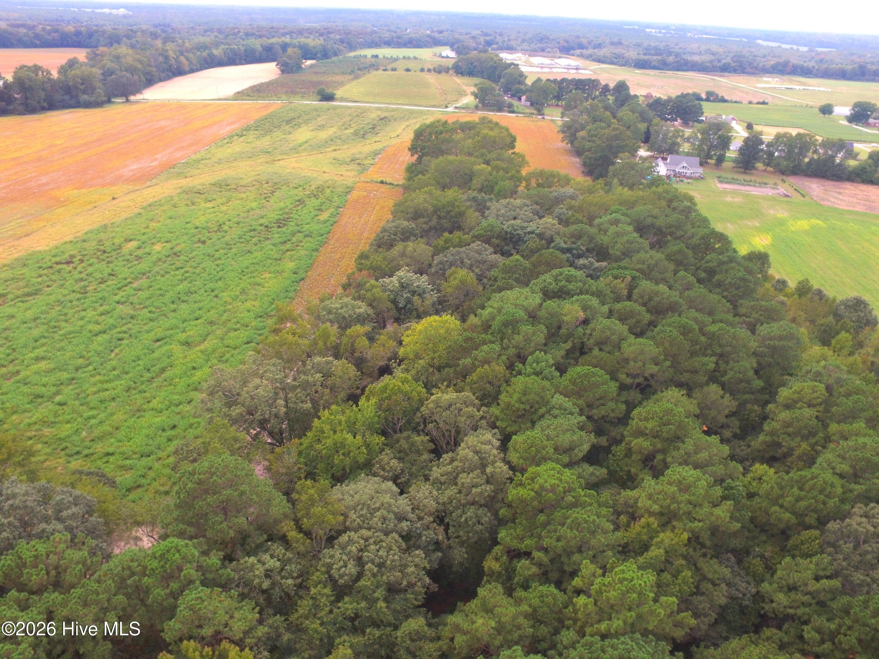0 Rountree Road Property Photo 4