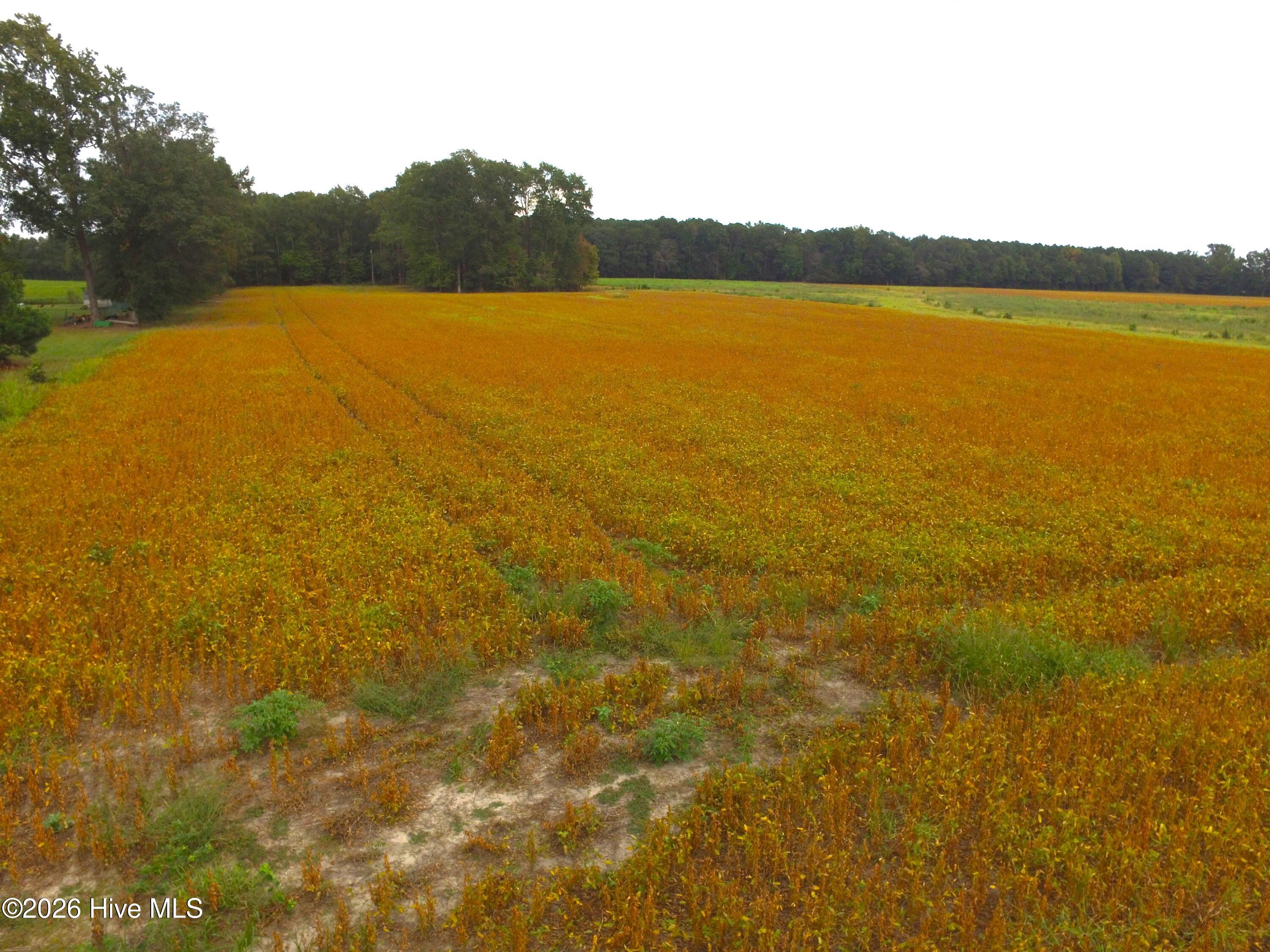 0 Rountree Road Property Photo 5