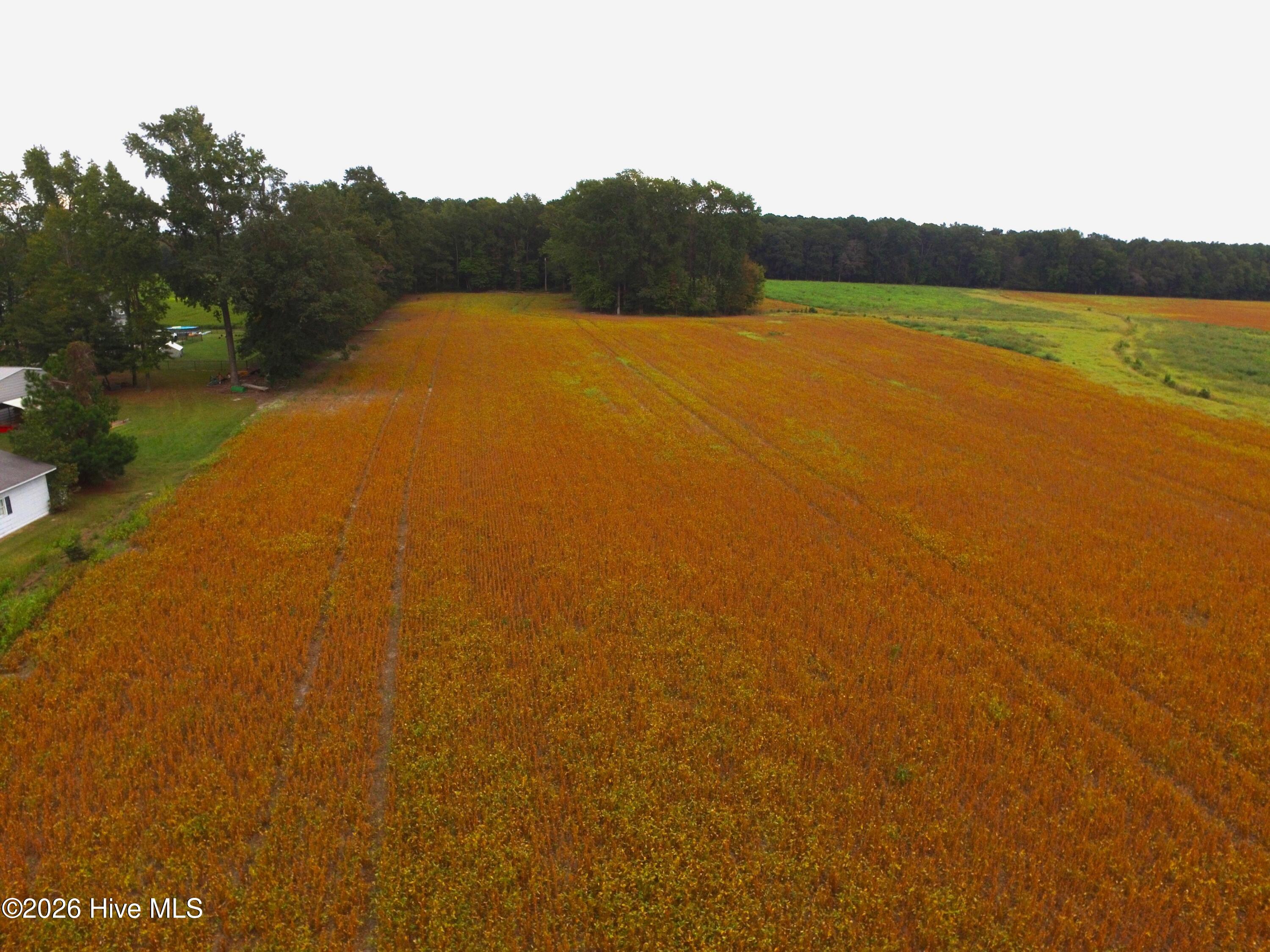 0 Rountree Road Property Photo 6