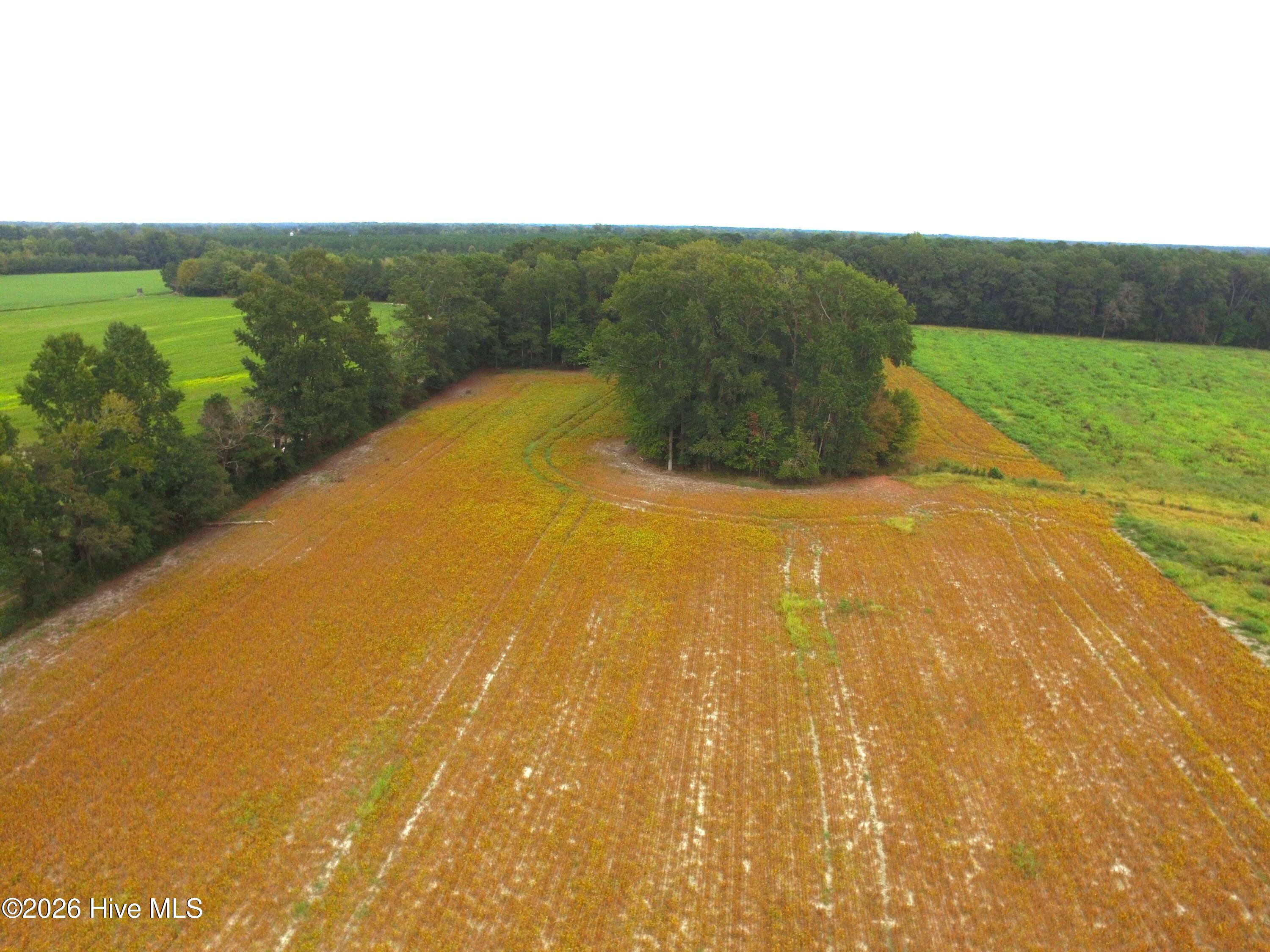 0 Rountree Road Property Photo 7