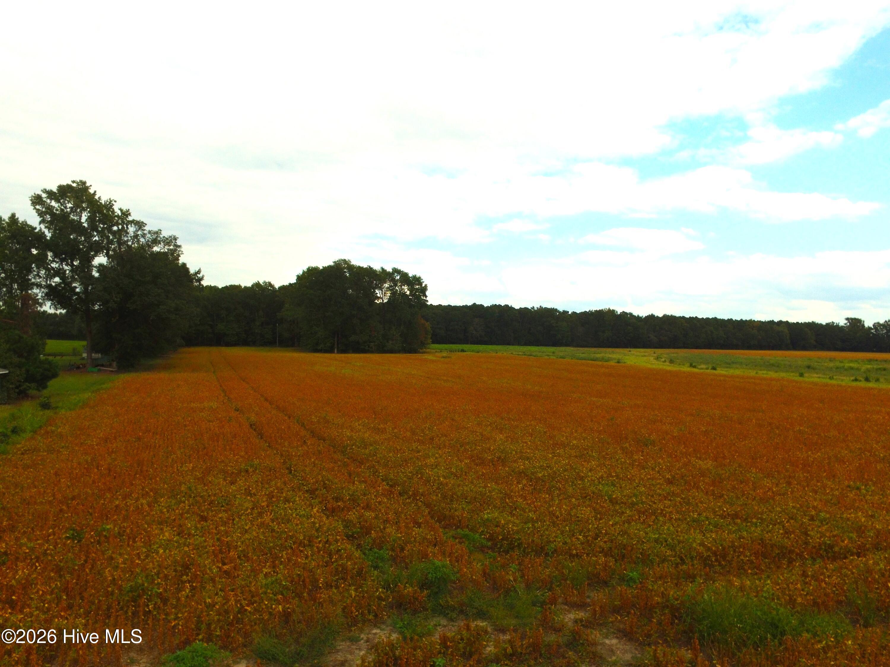 0 Rountree Road Property Photo 8