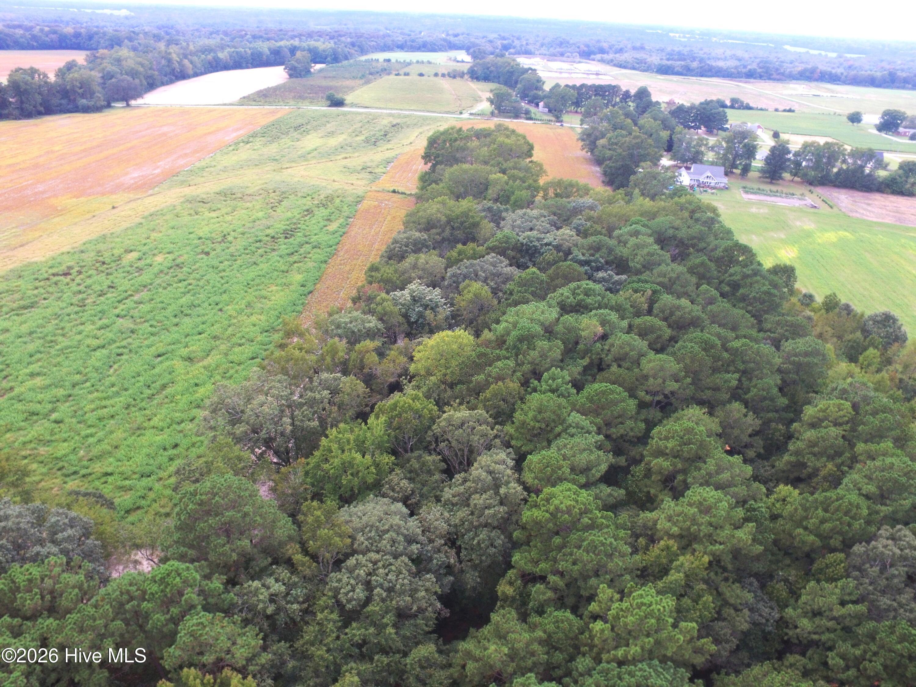 0 Rountree Road Property Photo 9