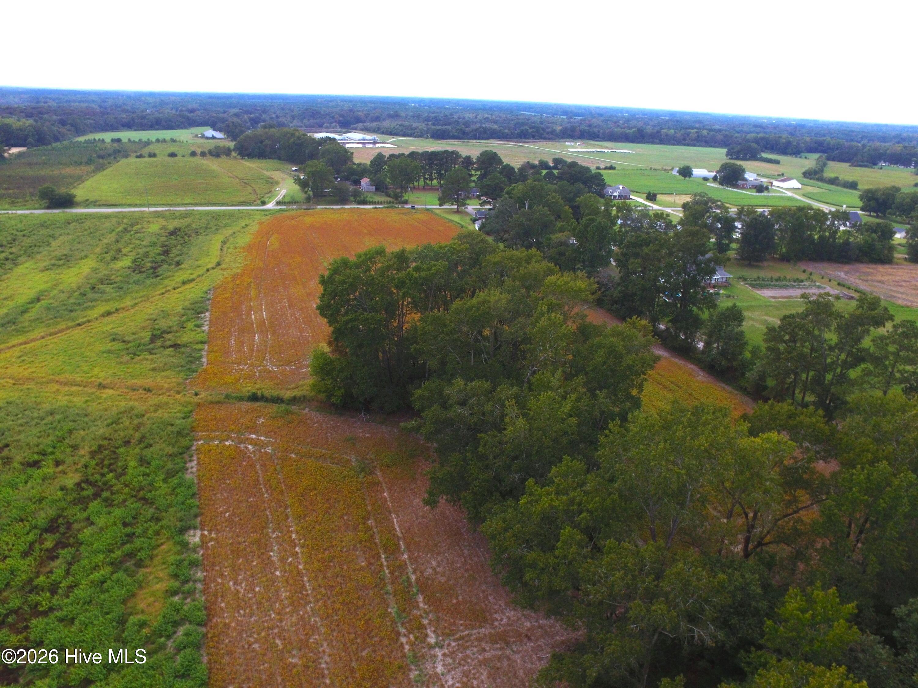 0 Rountree Road Property Photo 10