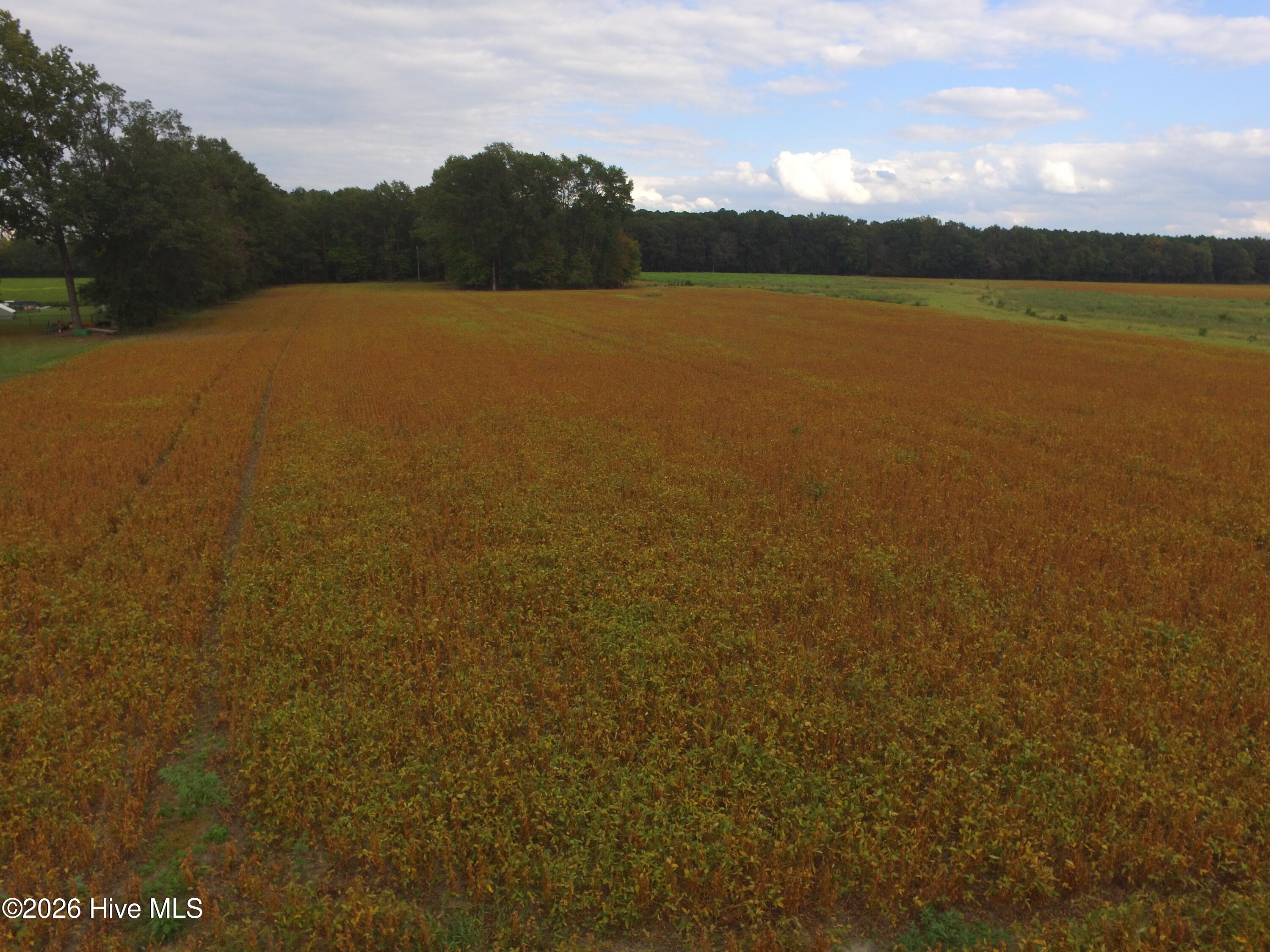 0 Rountree Road Property Photo 11