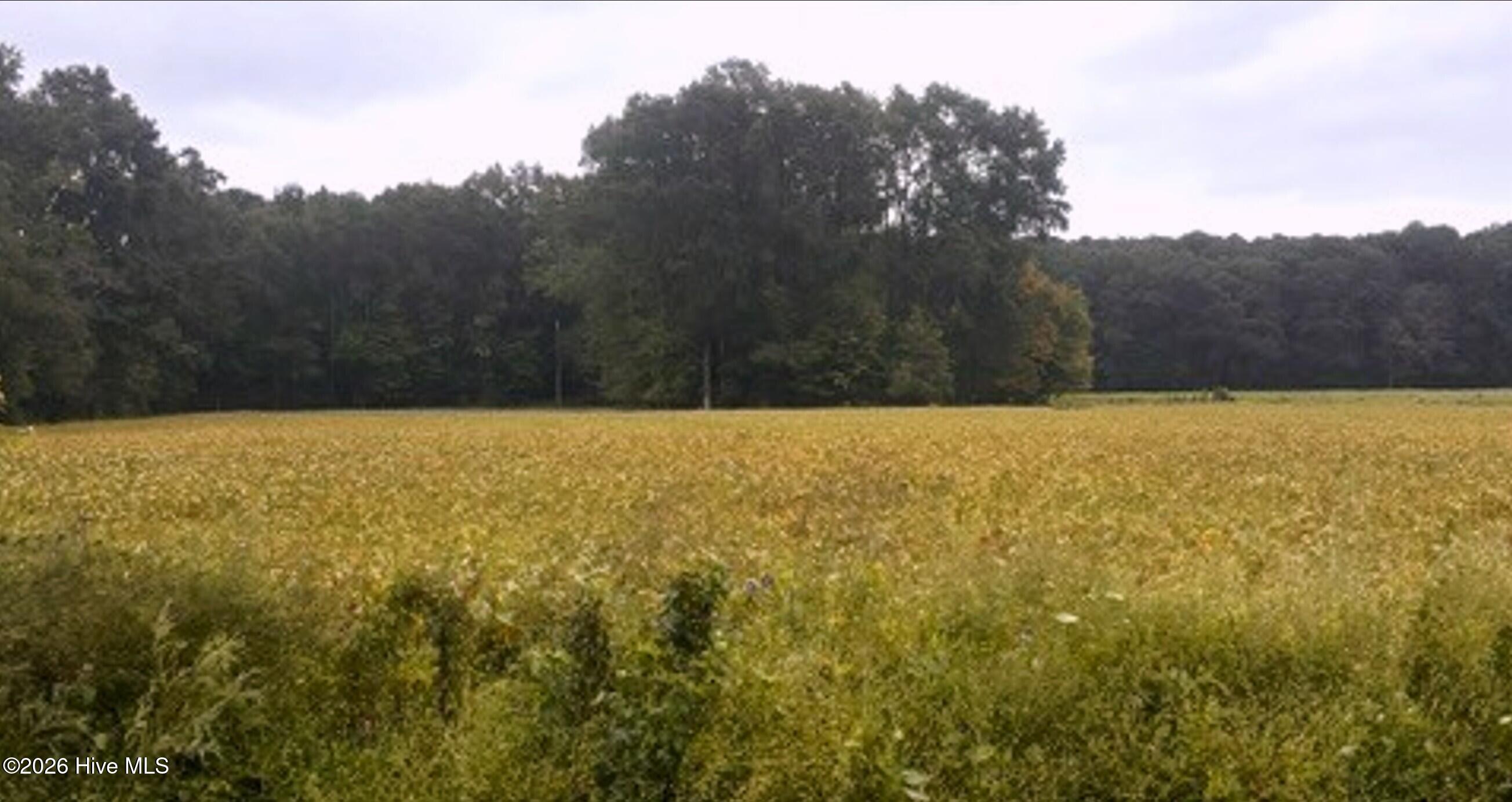 0 Rountree Road Property Photo 12