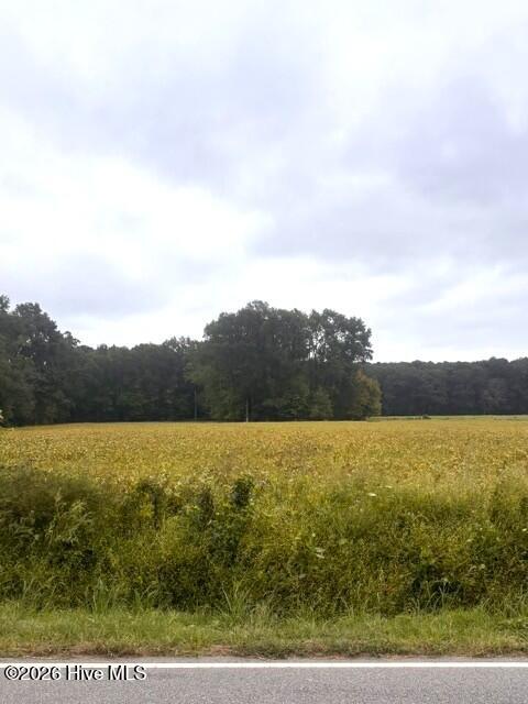 0 Rountree Road Property Photo 13