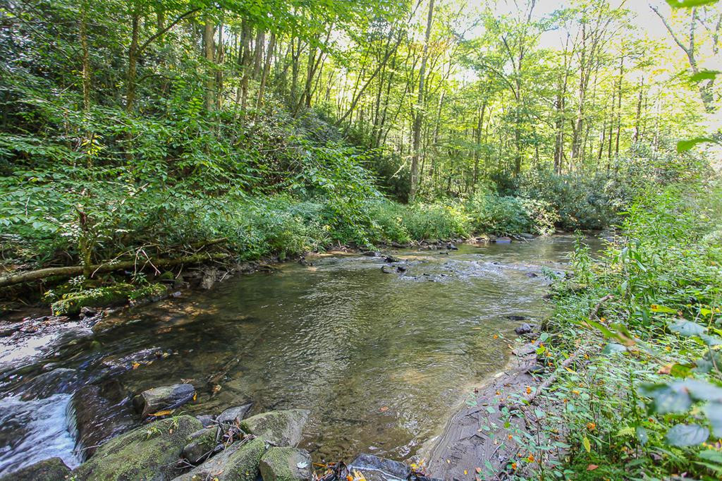 9765 Little Snowbird Road Property Photo 1