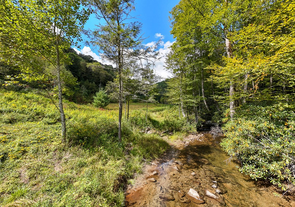 9765 Little Snowbird Road Property Photo 2