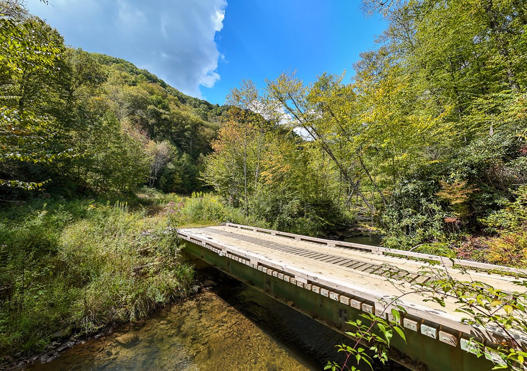 9765 Little Snowbird Road Property Photo 3
