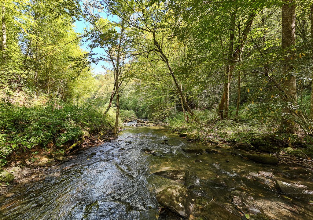 9765 Little Snowbird Road Property Photo 4