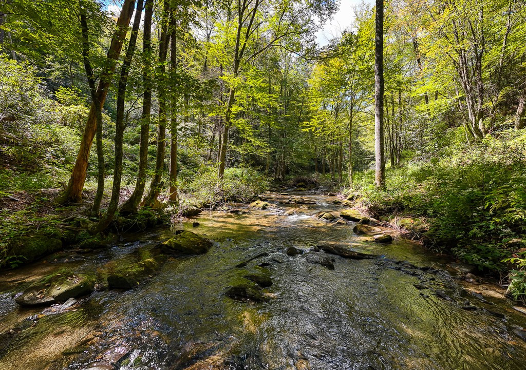 9765 Little Snowbird Road Property Photo 6