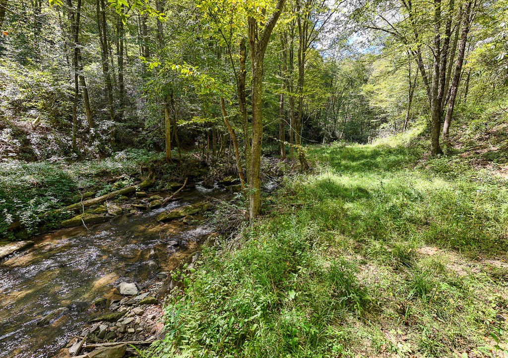 9765 Little Snowbird Road Property Photo 7