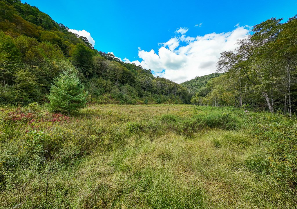 9765 Little Snowbird Road Property Photo 8