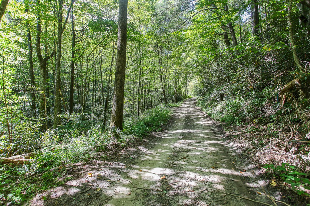 9765 Little Snowbird Road Property Photo 10