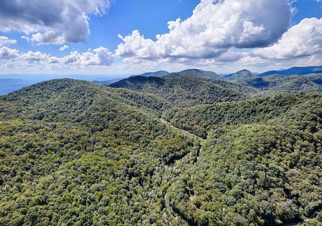 9765 Little Snowbird Road Property Photo 11